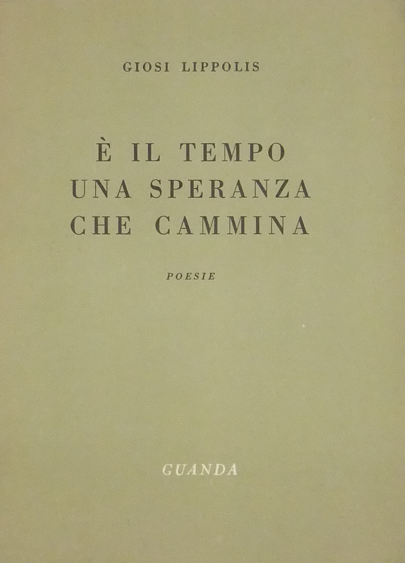 E' il tempo una speranza che cammina. Poesie