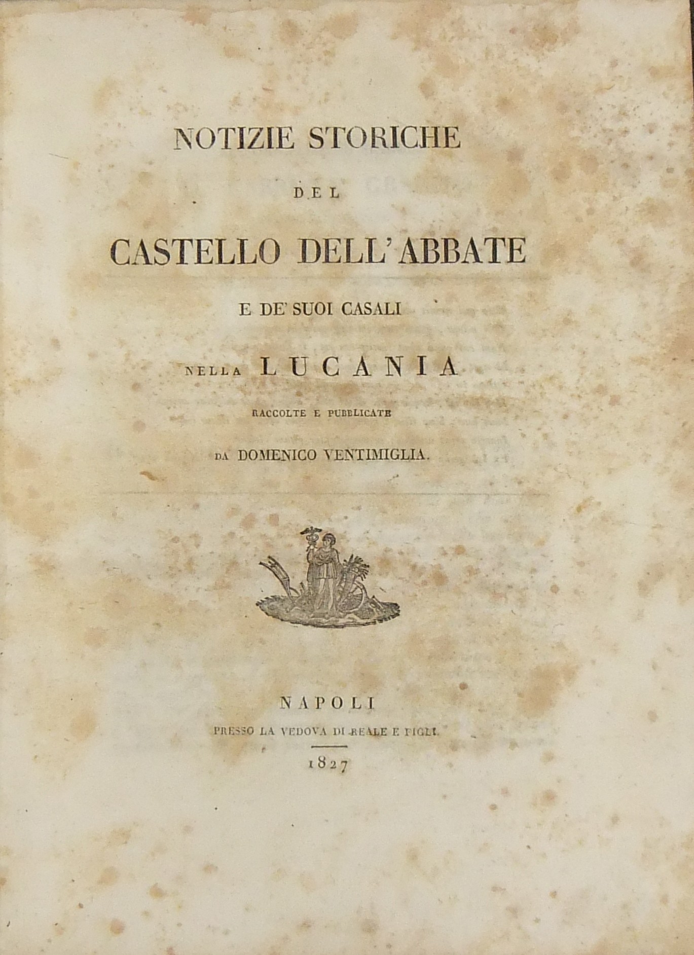 Notizie storiche del Castello dell'Abbate e de' su