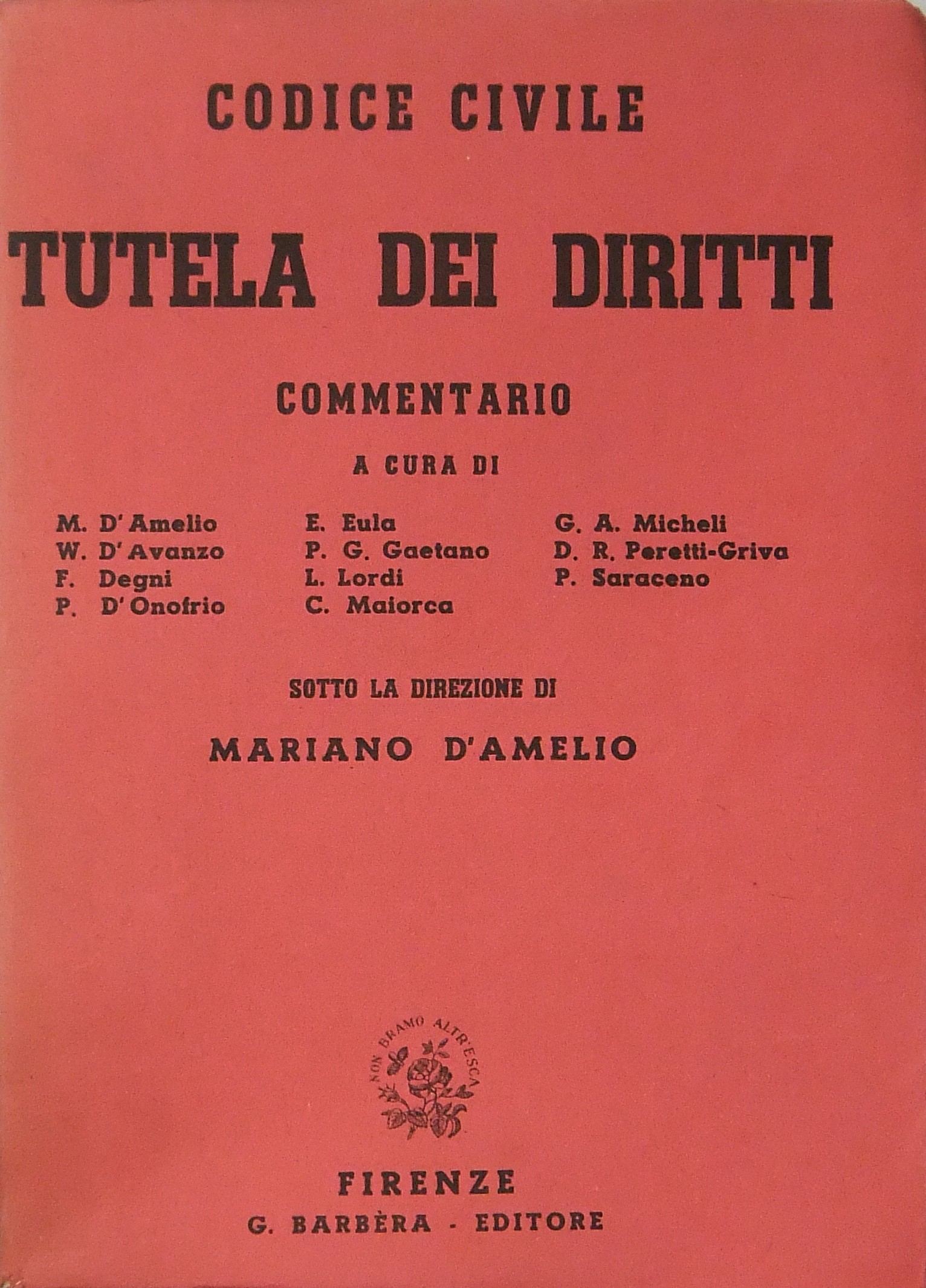 Codice civile. Libro della tutela dei diritti. Commentario
