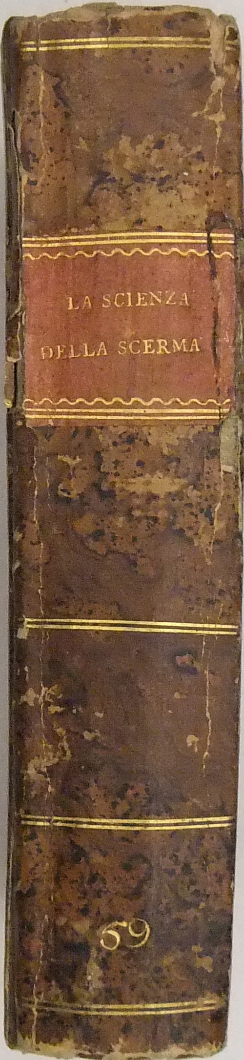 La scienza della scherma esposta dai due amici il