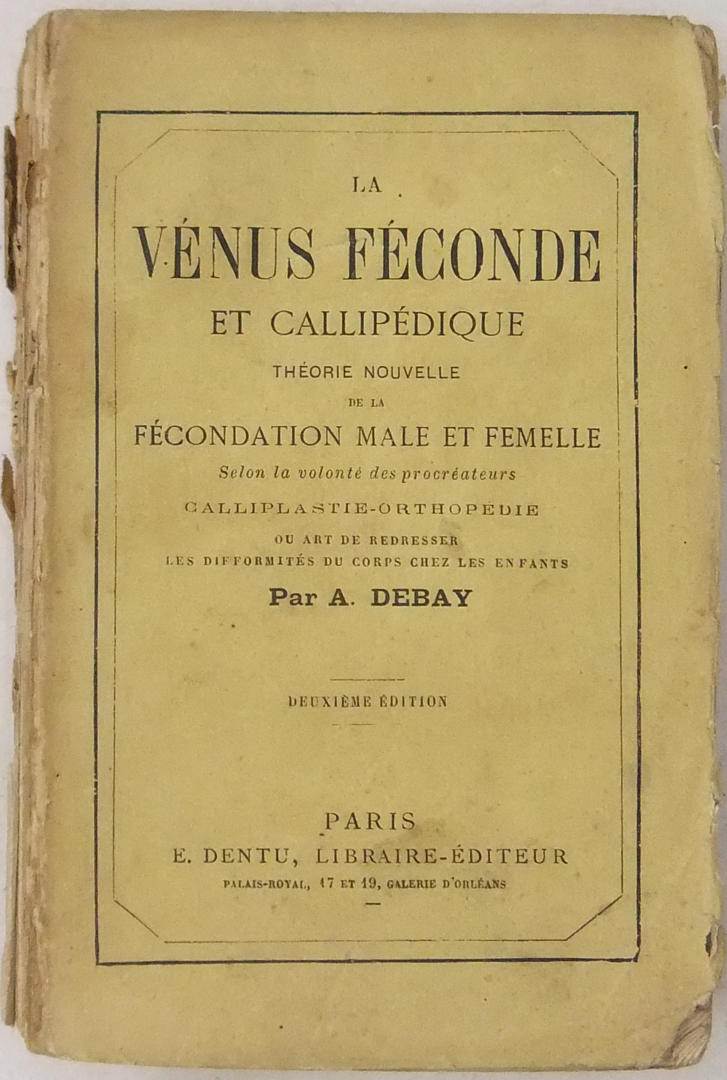 La Vénus féconde et callipédique théorie nouvelle