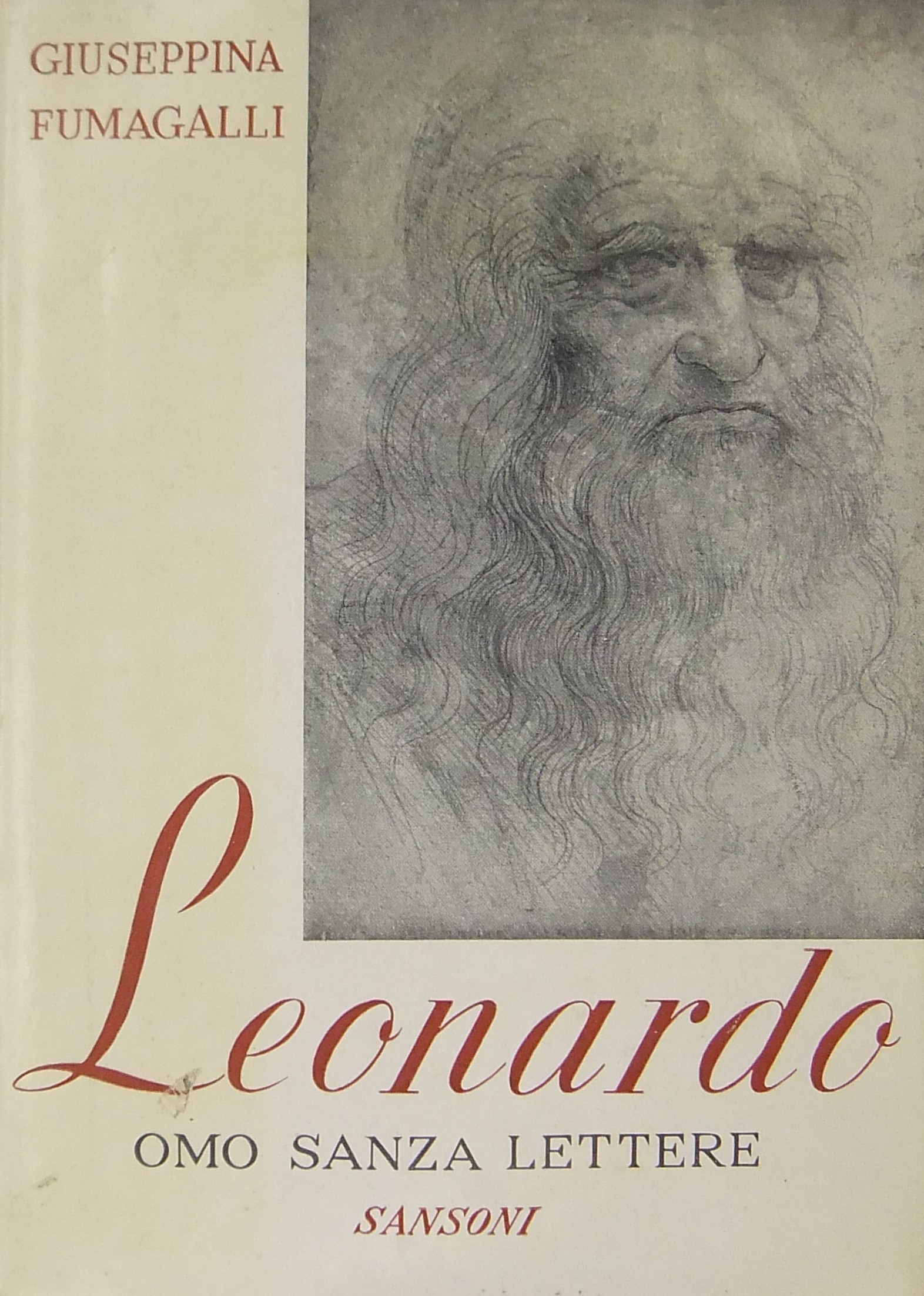 Leonardo omo sanza lettere