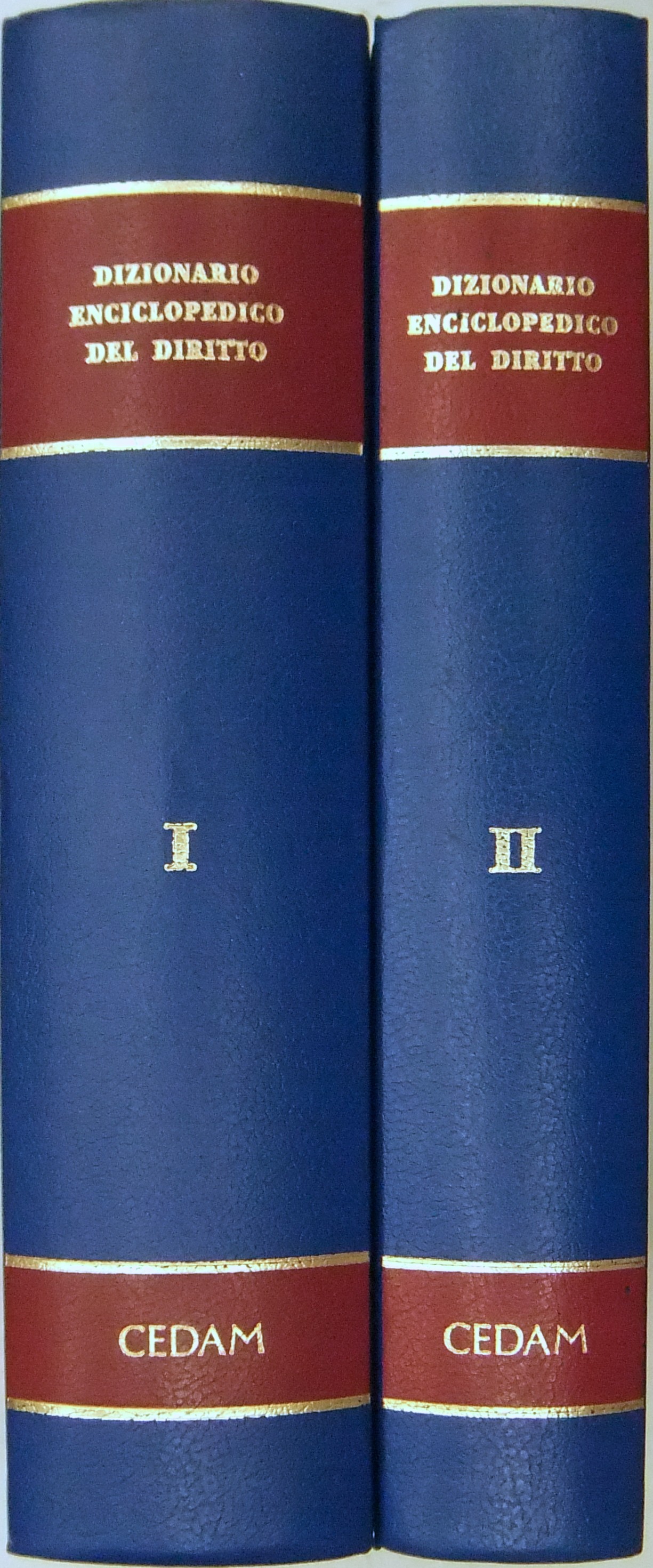 Dizionario enciclopedico del diritto. 