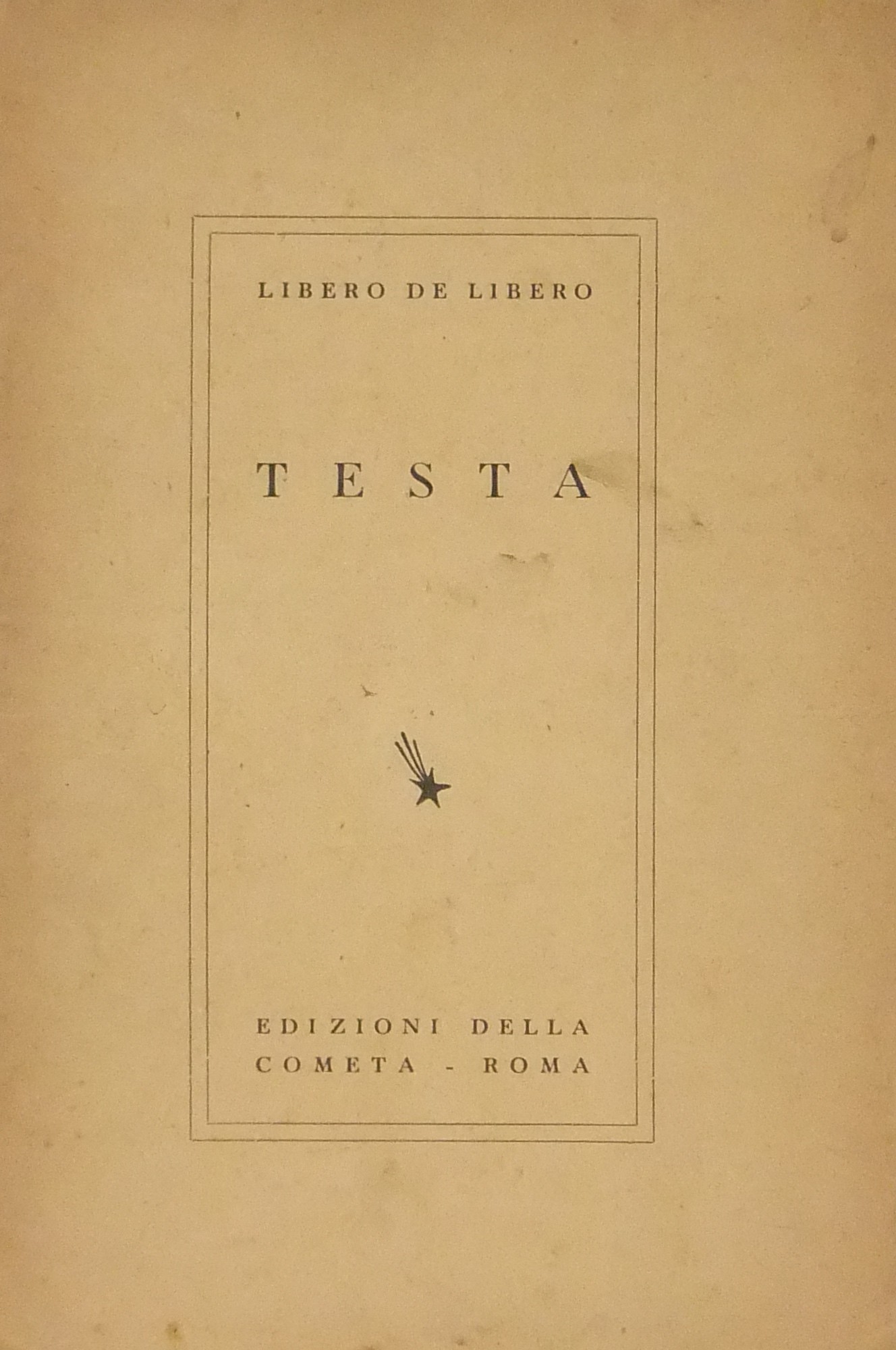 Testa