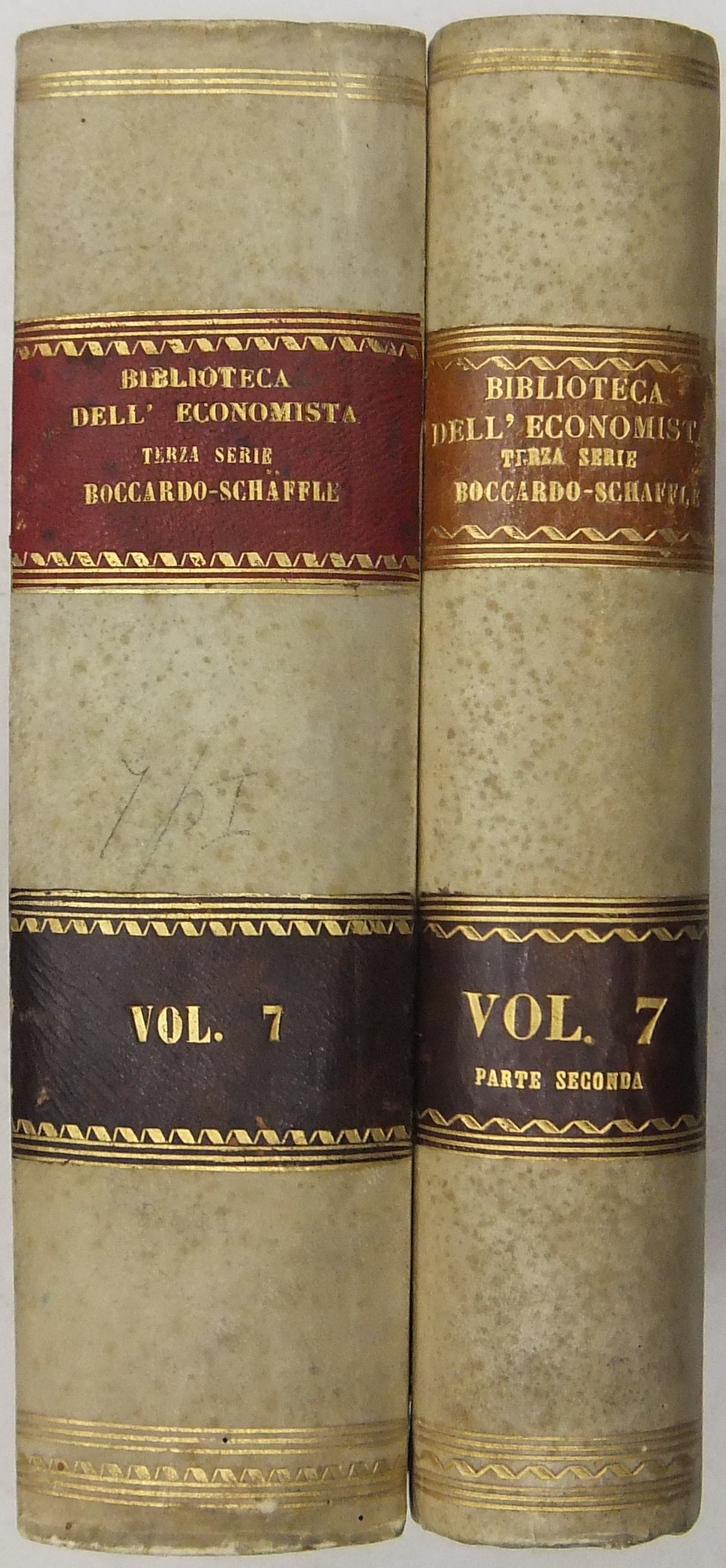 Struttura del corpo sociale. 