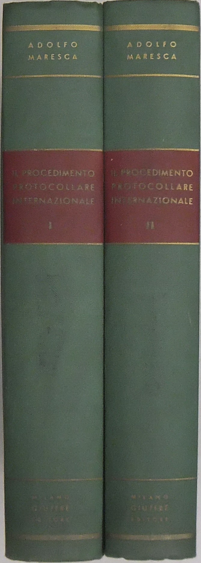 Il procedimento protocollare internazionale. Vol.