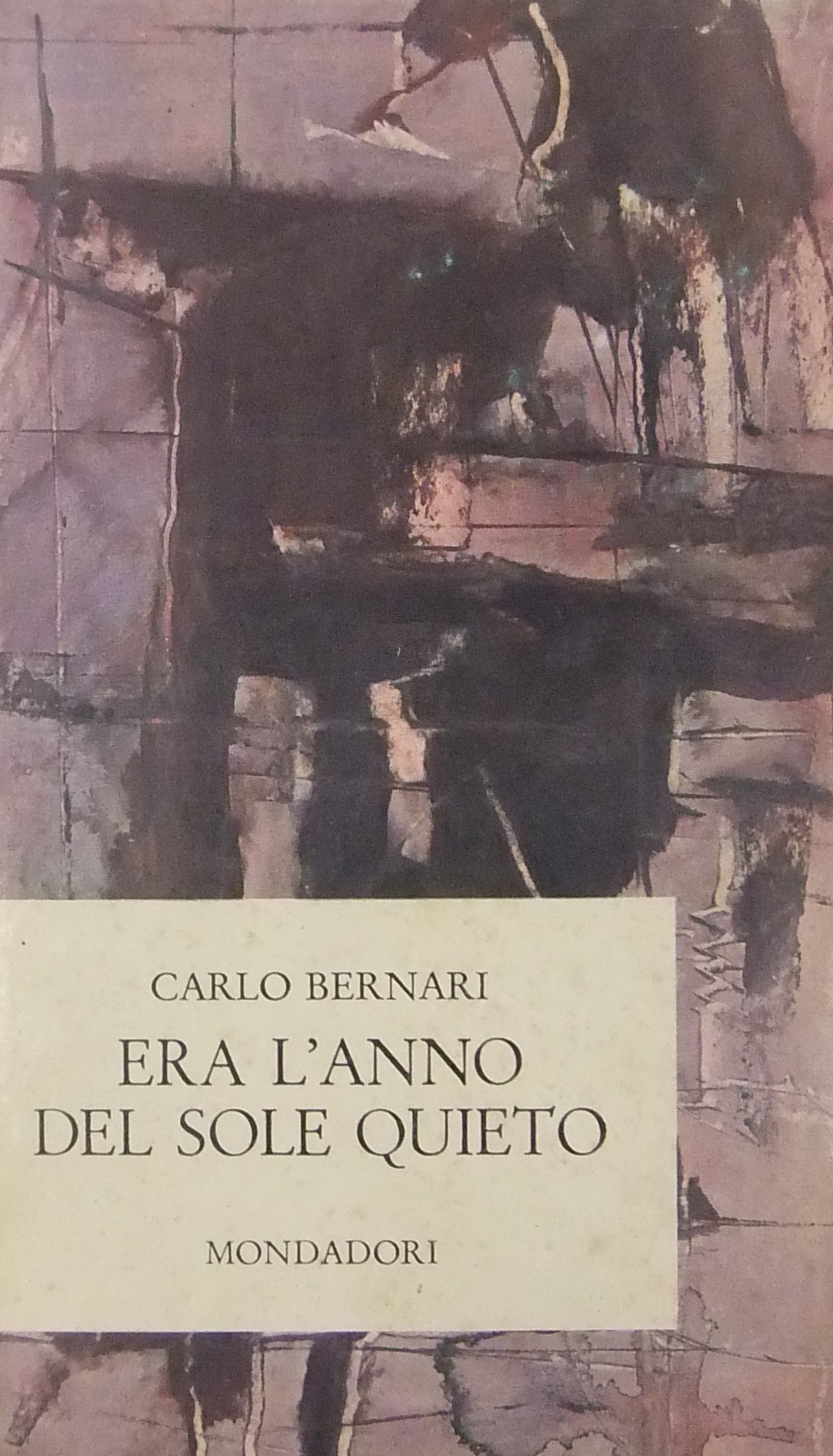 Era l'anno del sole quieto