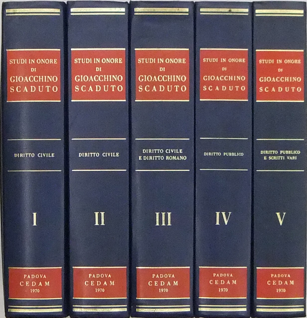 Studi in onore di Gioacchino Scaduto.