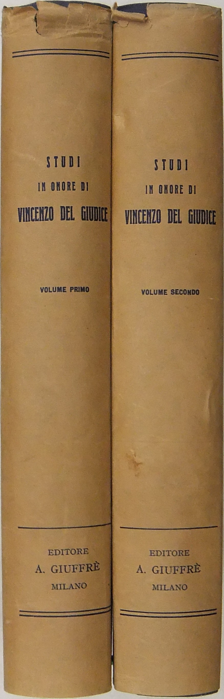 Studi in onore di Vincenzo Del Giudice