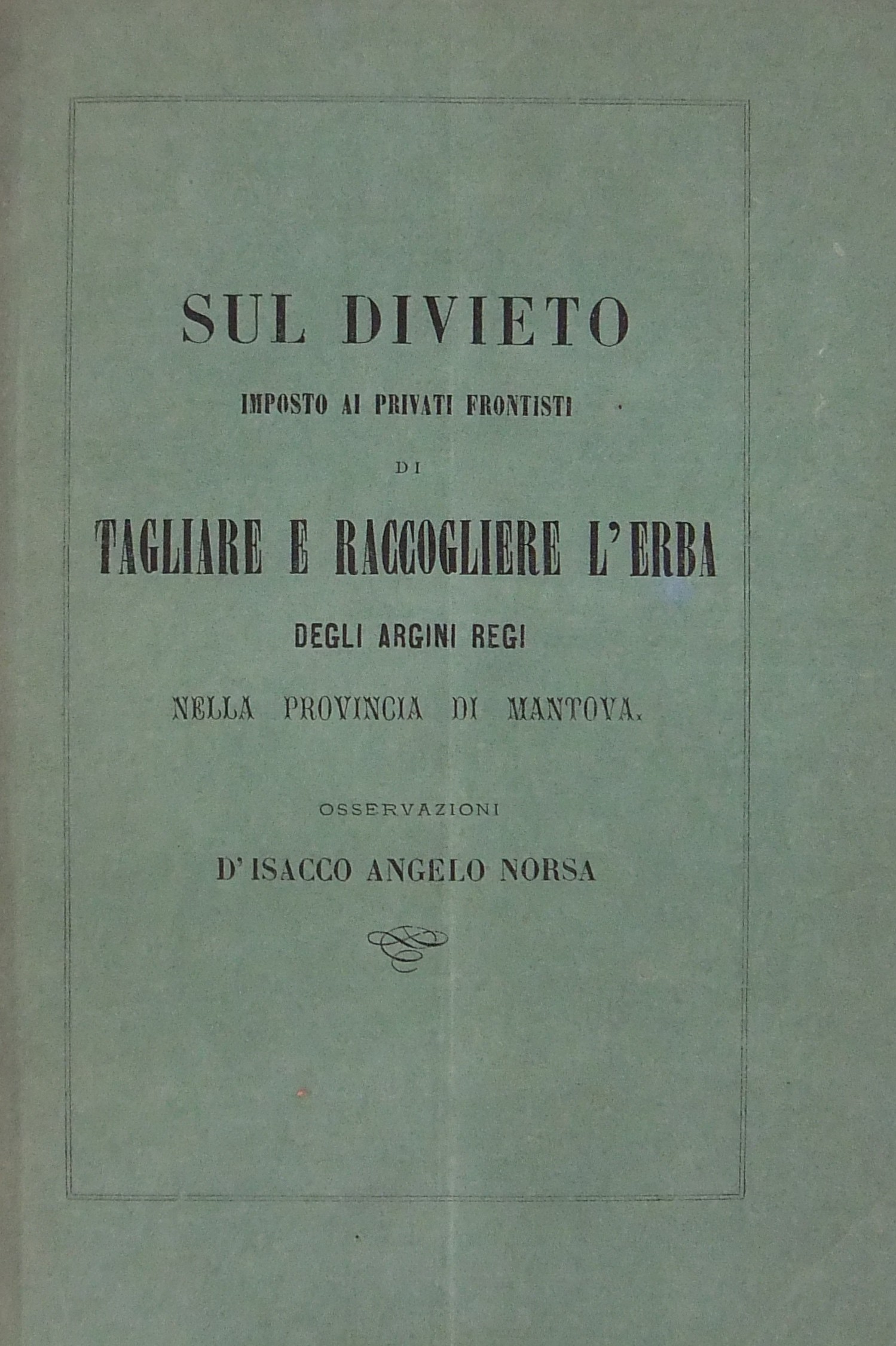 Sul divieto imposto ai privati frontisti di taglia