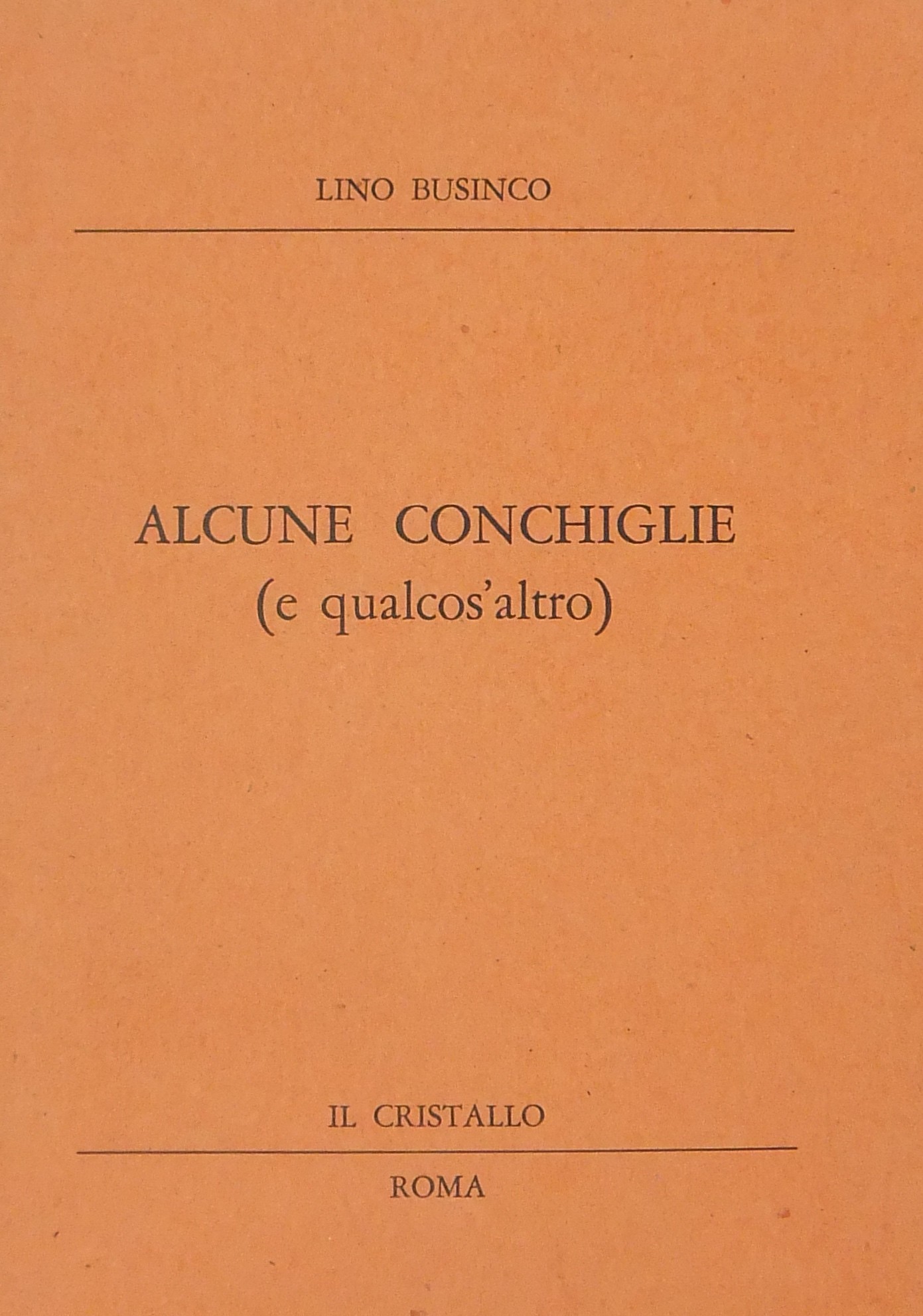 Alcune conchiglie (e qualcos'altro)
