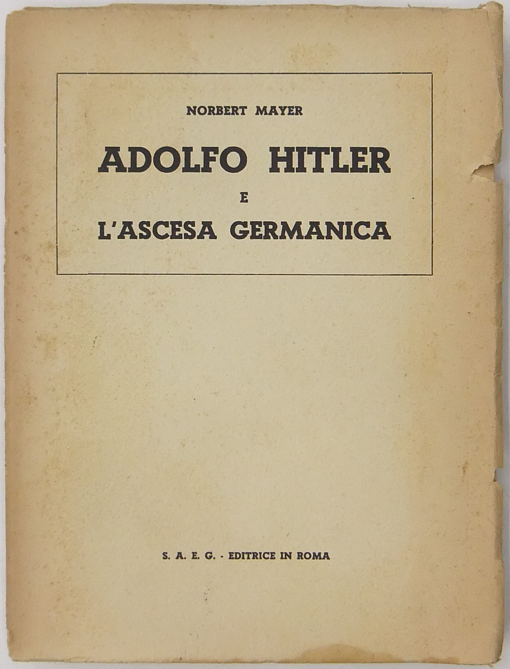 Adolfo Hitler e l'ascesa germanica