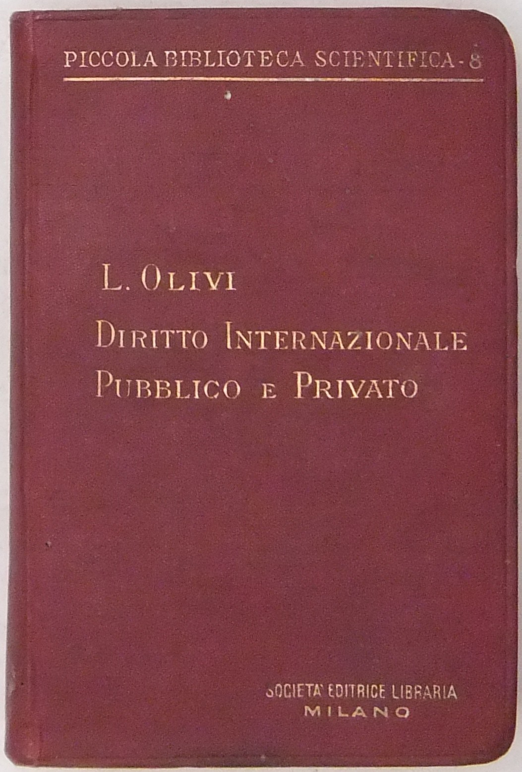 Manuale di diritto internazionale pubblico e priva
