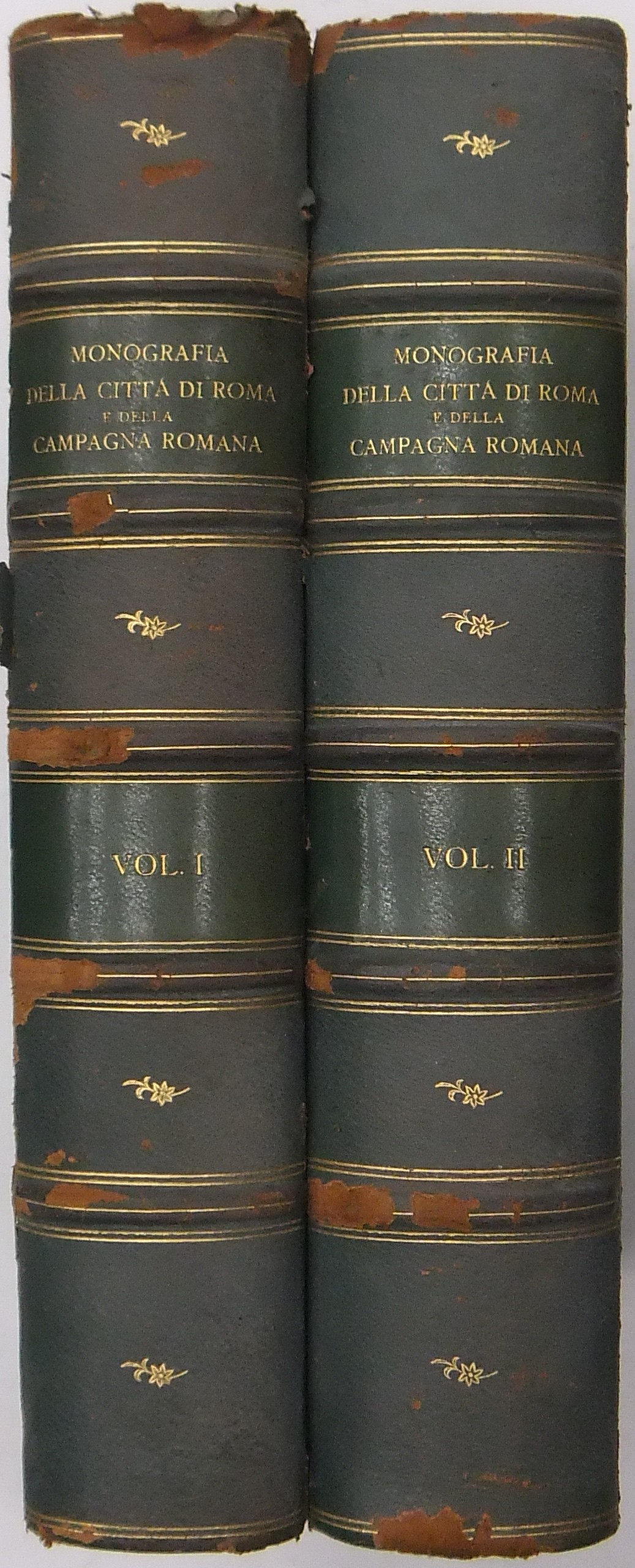 Monografia della città di Roma e della Campagna Romana. 