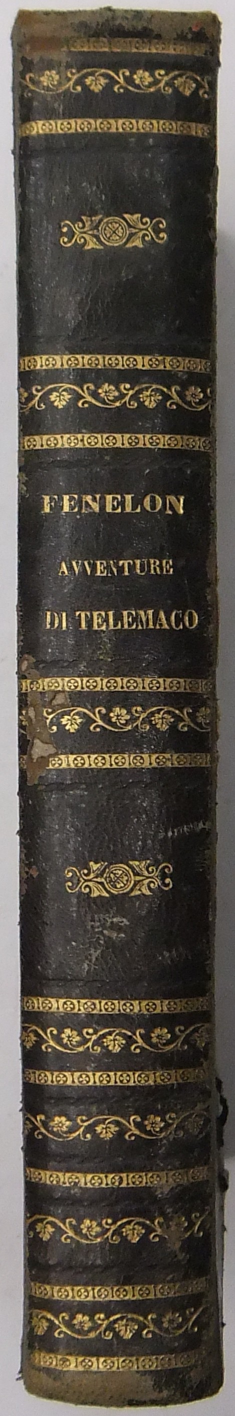 Le avventure di Telemaco seguite dalle Avventure di Aristonoo.