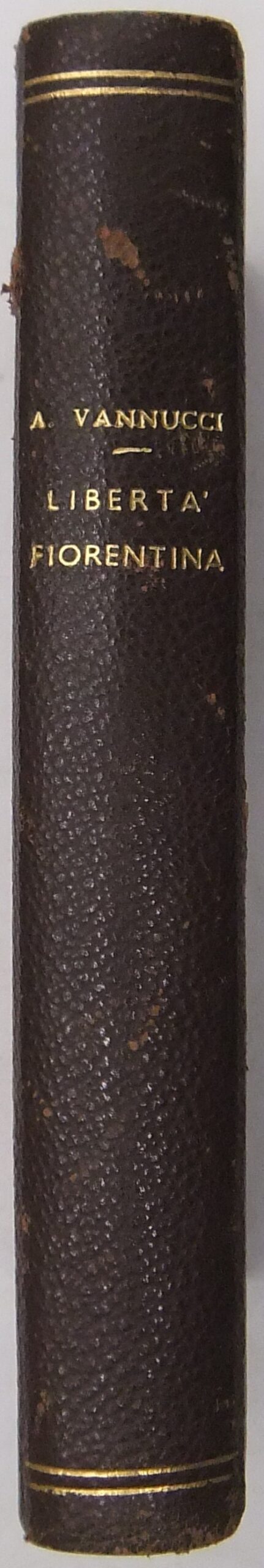 I primi tempi della libertà fiorentina