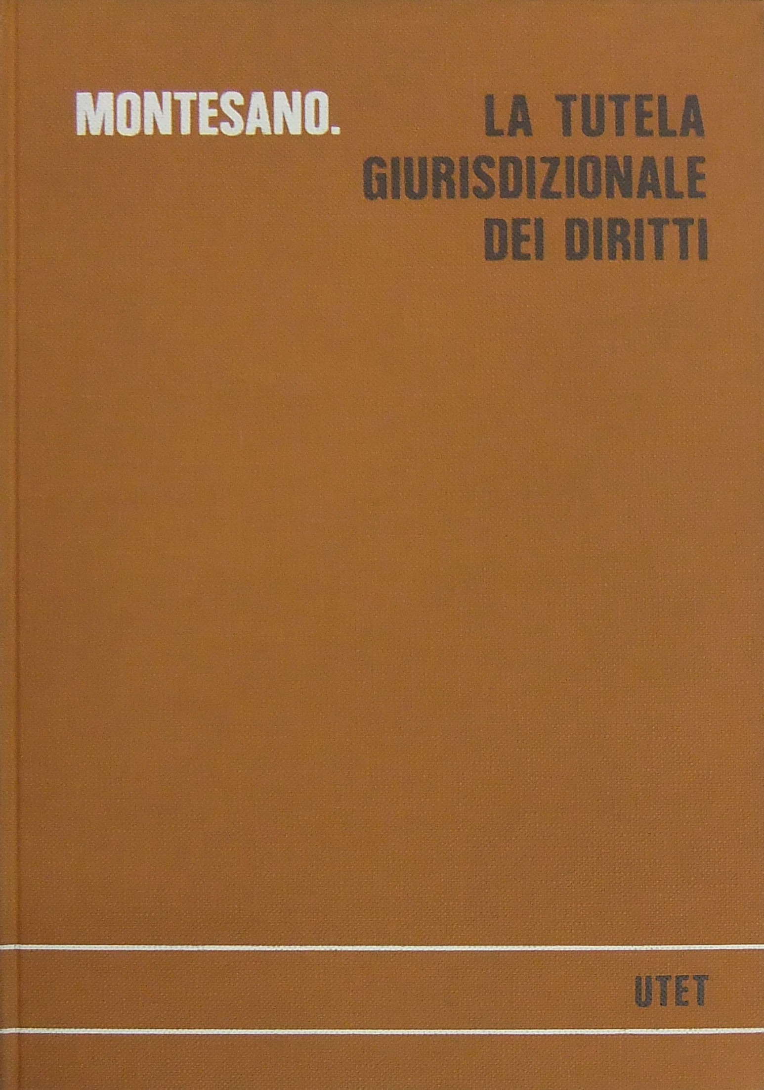 La tutela giurisdizionale dei diritti