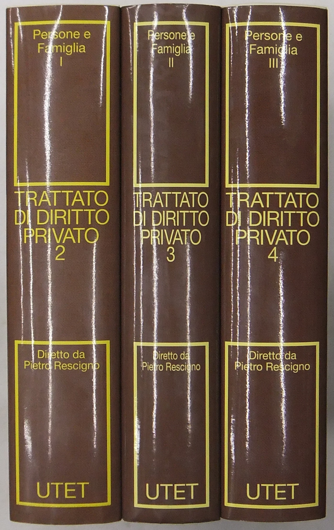 Trattato di diritto privato. 
