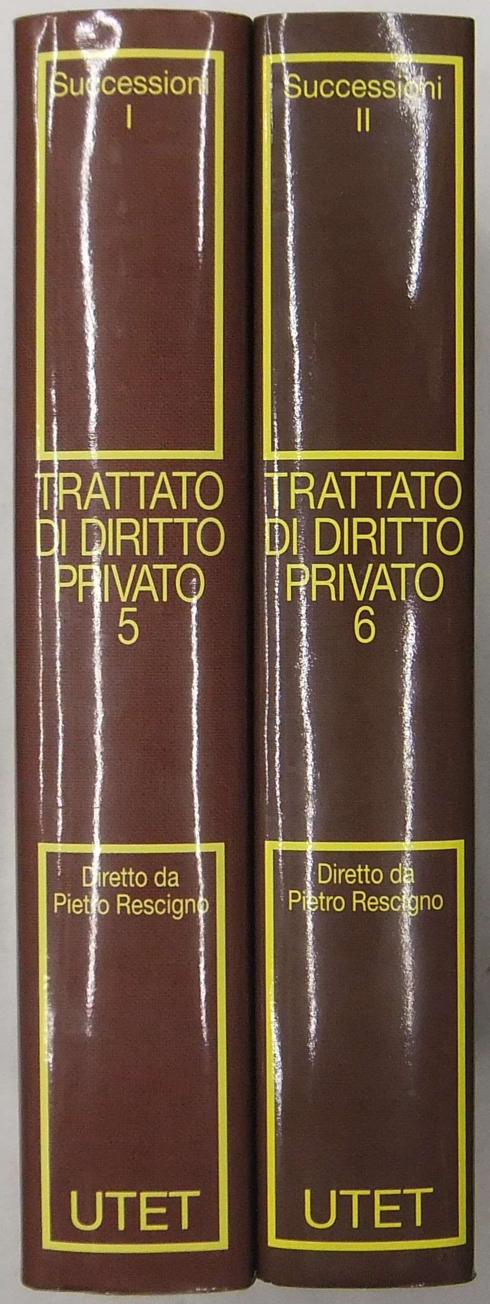 Trattato di diritto privato. 
