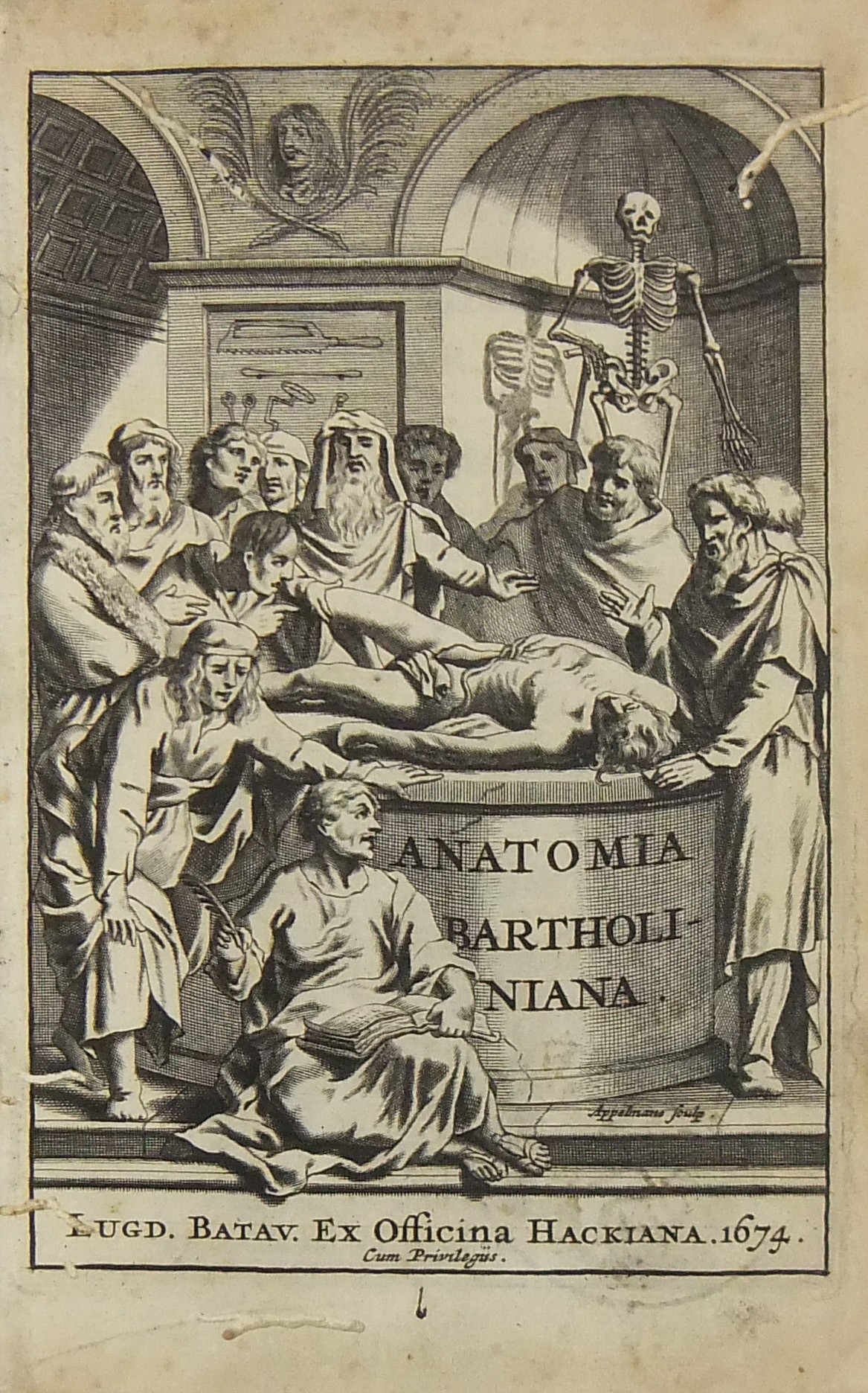 Anatome. Ex omnium Veterum Recentiorumque Observationibus.