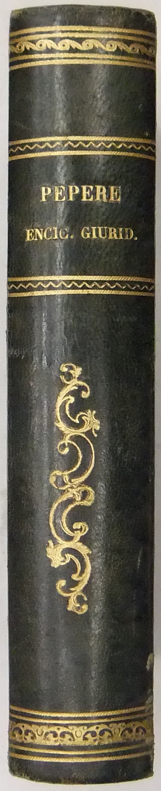 Trattato di enciclopedia giuridica. Vol. I (unico pubblicato)