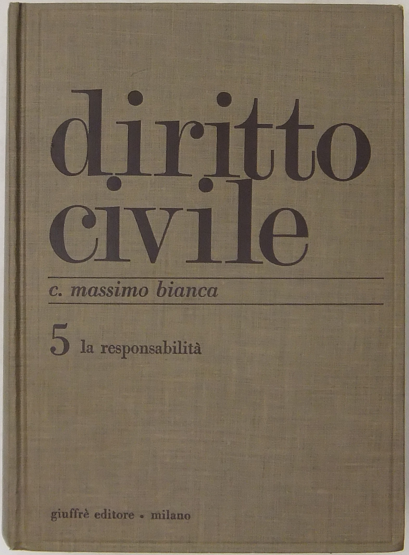 Diritto civile. Vol. V - La responsabilità