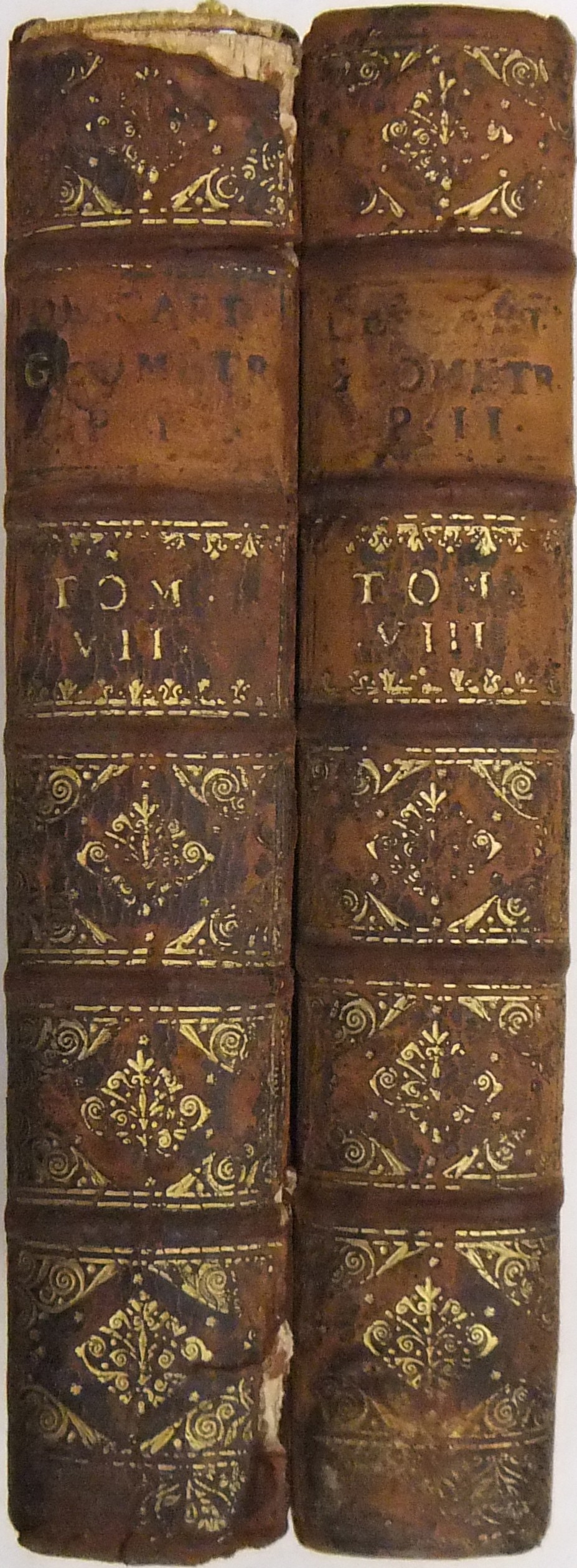 Geometria à Renato Des Cartes 