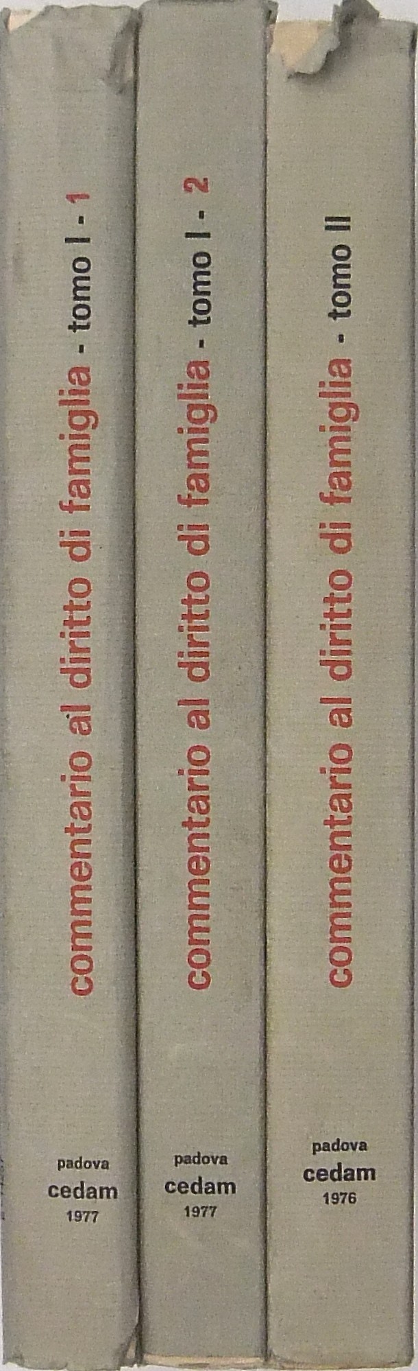 Commentario alla riforma del diritto di famiglia.