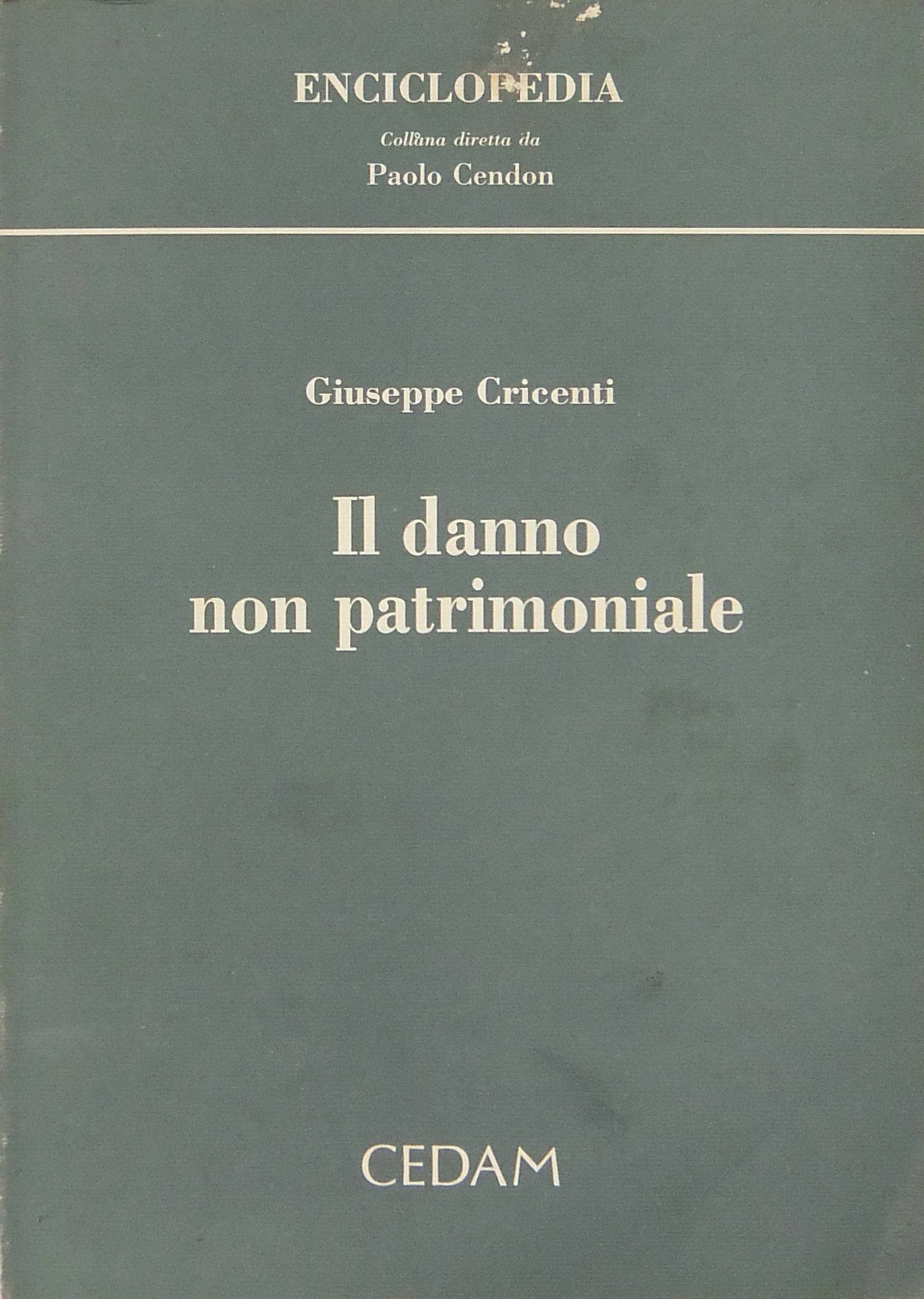 Il danno non patrimoniale