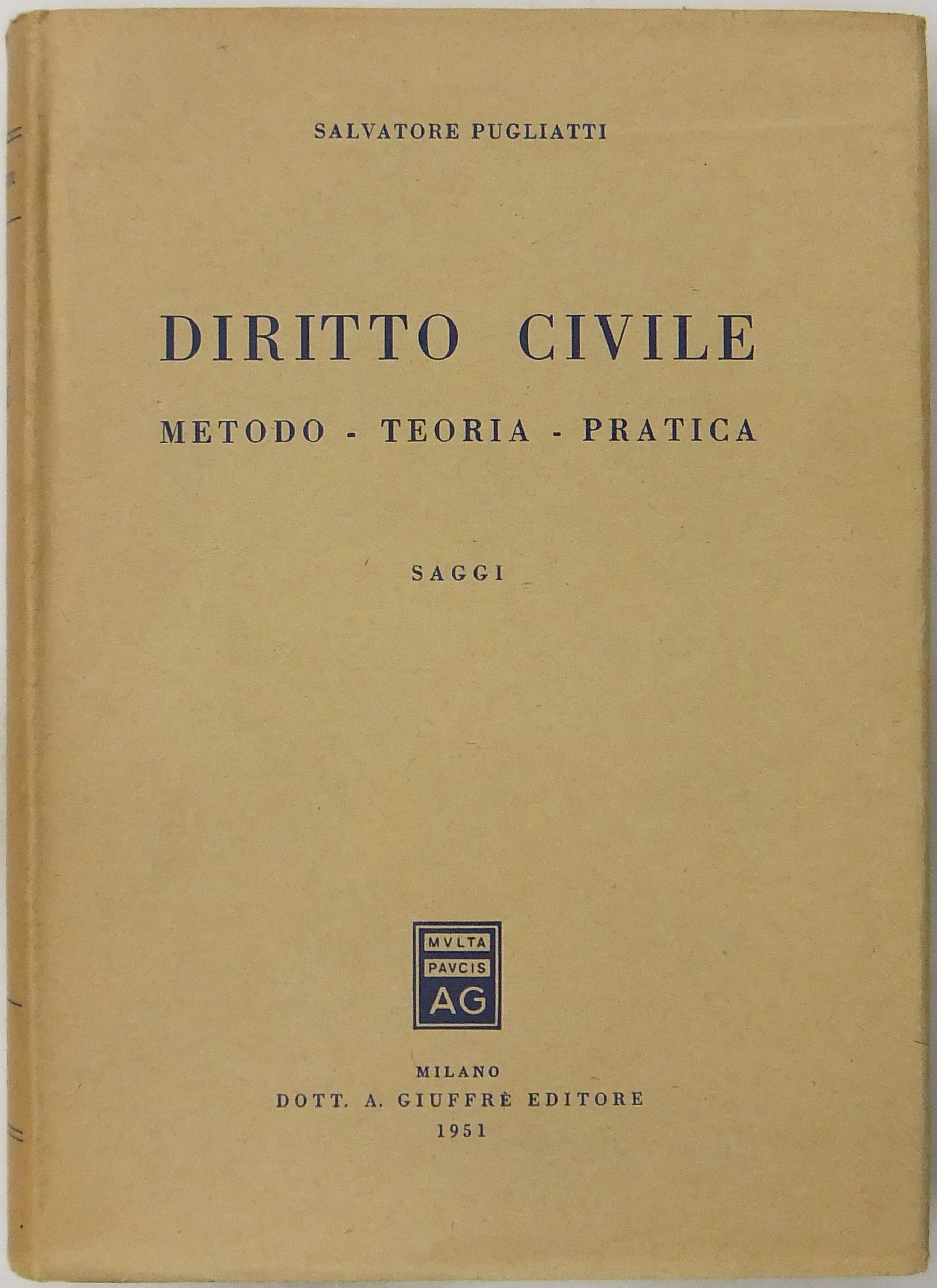 Diritto civile. Metodo - Teoria - Pratica. Saggi