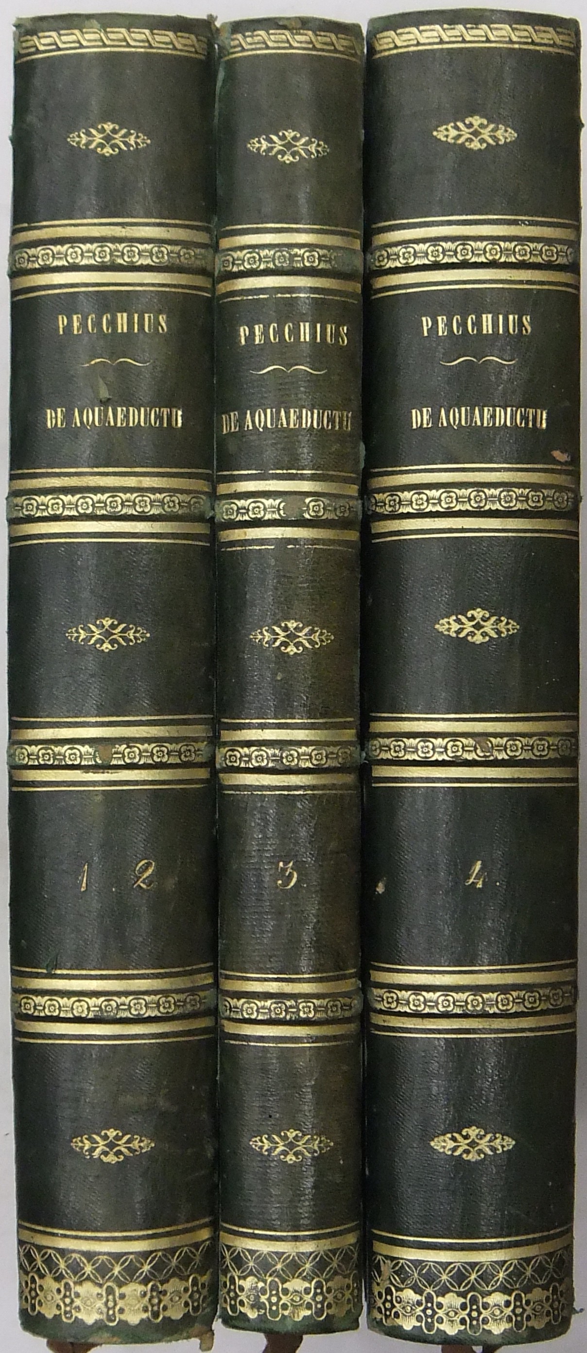 Francisci Mariae Pecchii.. Tractatus de aquaeductu.