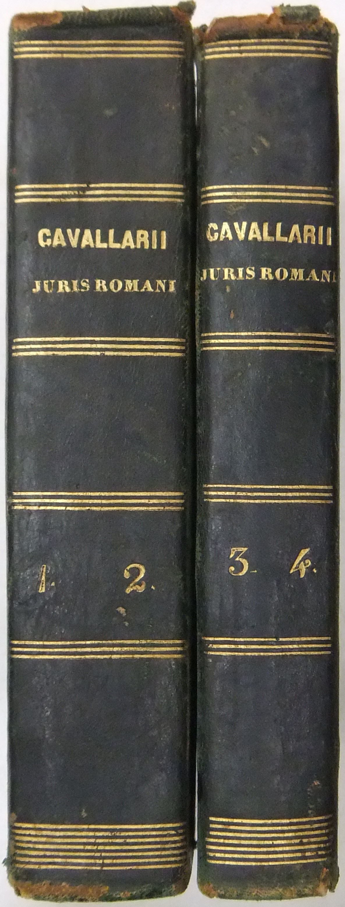 Dominici Cavallarii.. Institutiones Juris Romani.