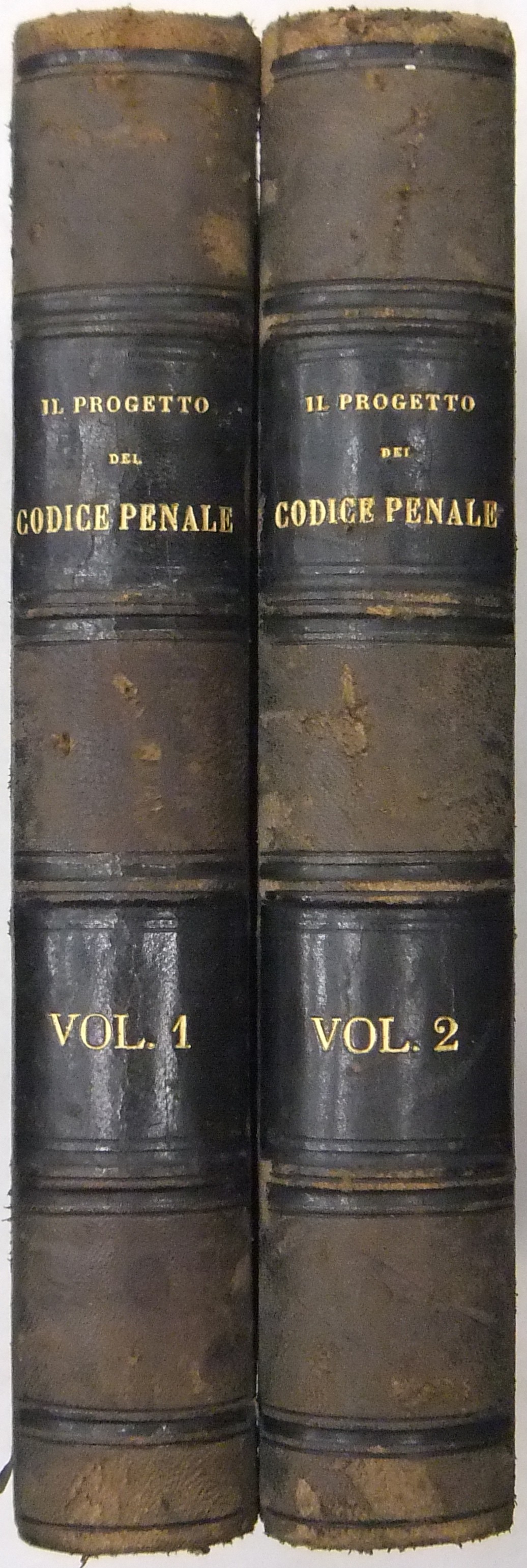 Il Progetto del Codice Penale pel Regno d'Italia