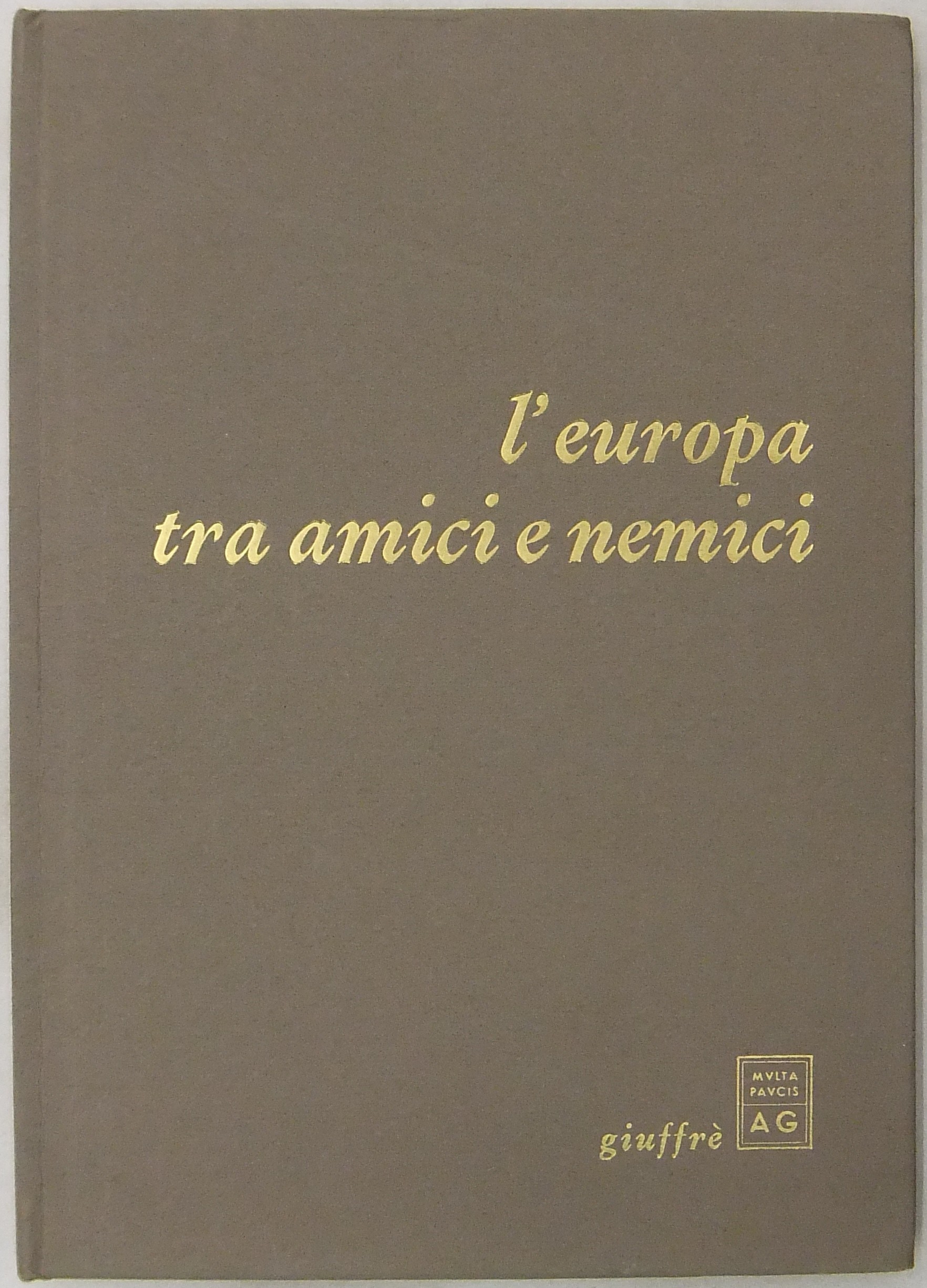 L'Europa tra amici e nemici. 