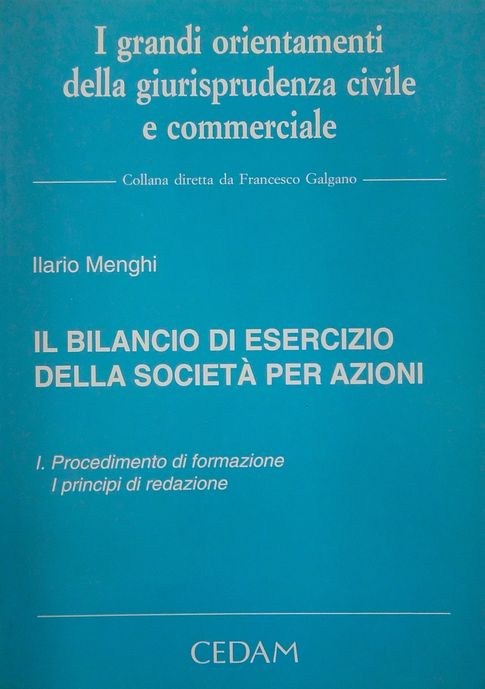 Il bilancio di esercizio della società per azioni. Vol. I - Procedimento di formazione. I principi di redazione