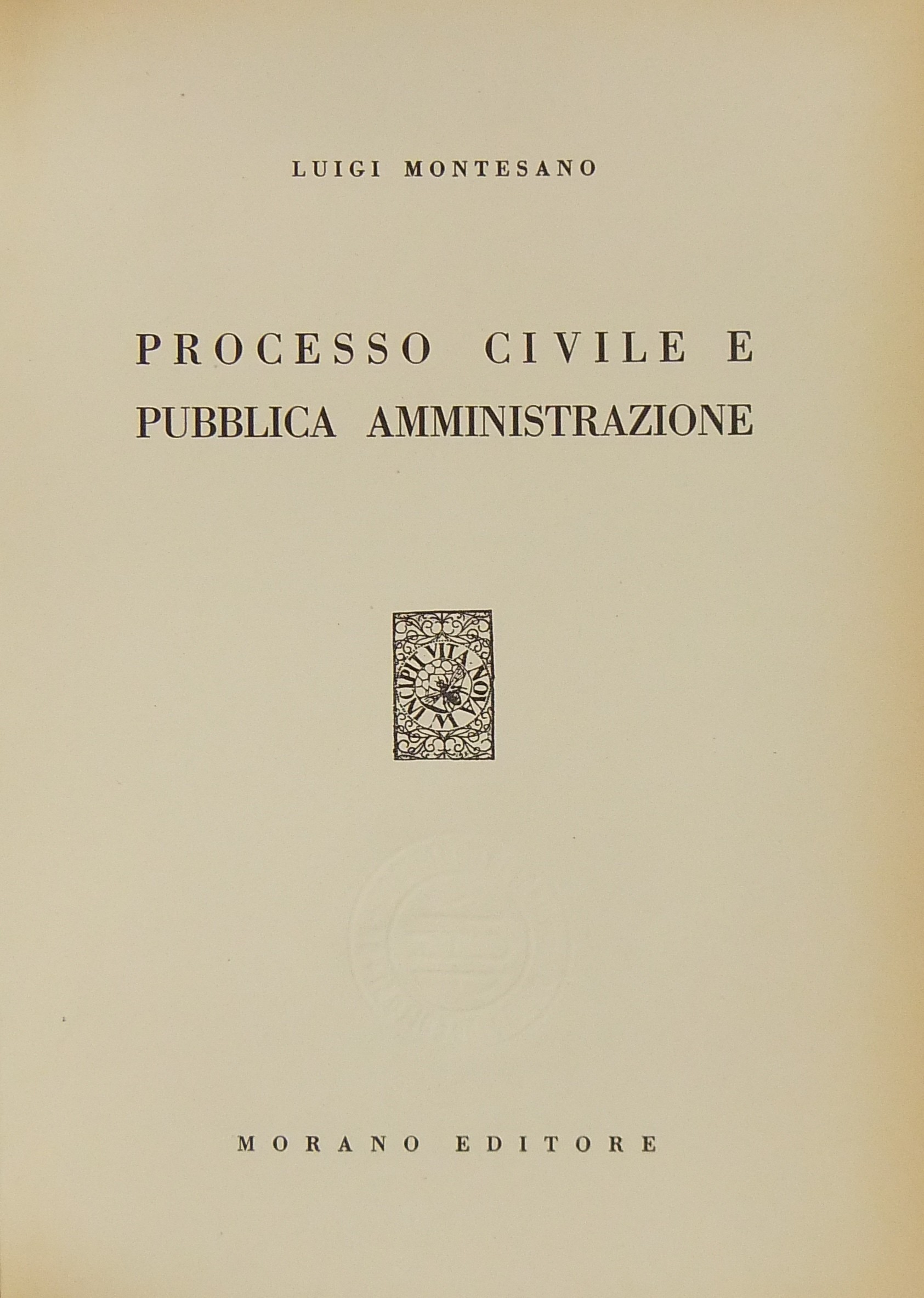 Processo civile e pubblica amministrazione