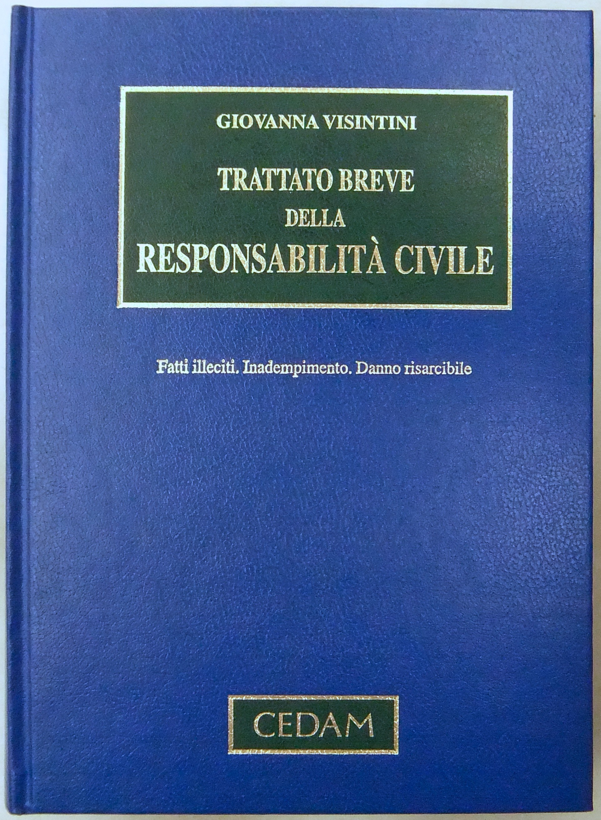 Trattato breve della responsabilità civile