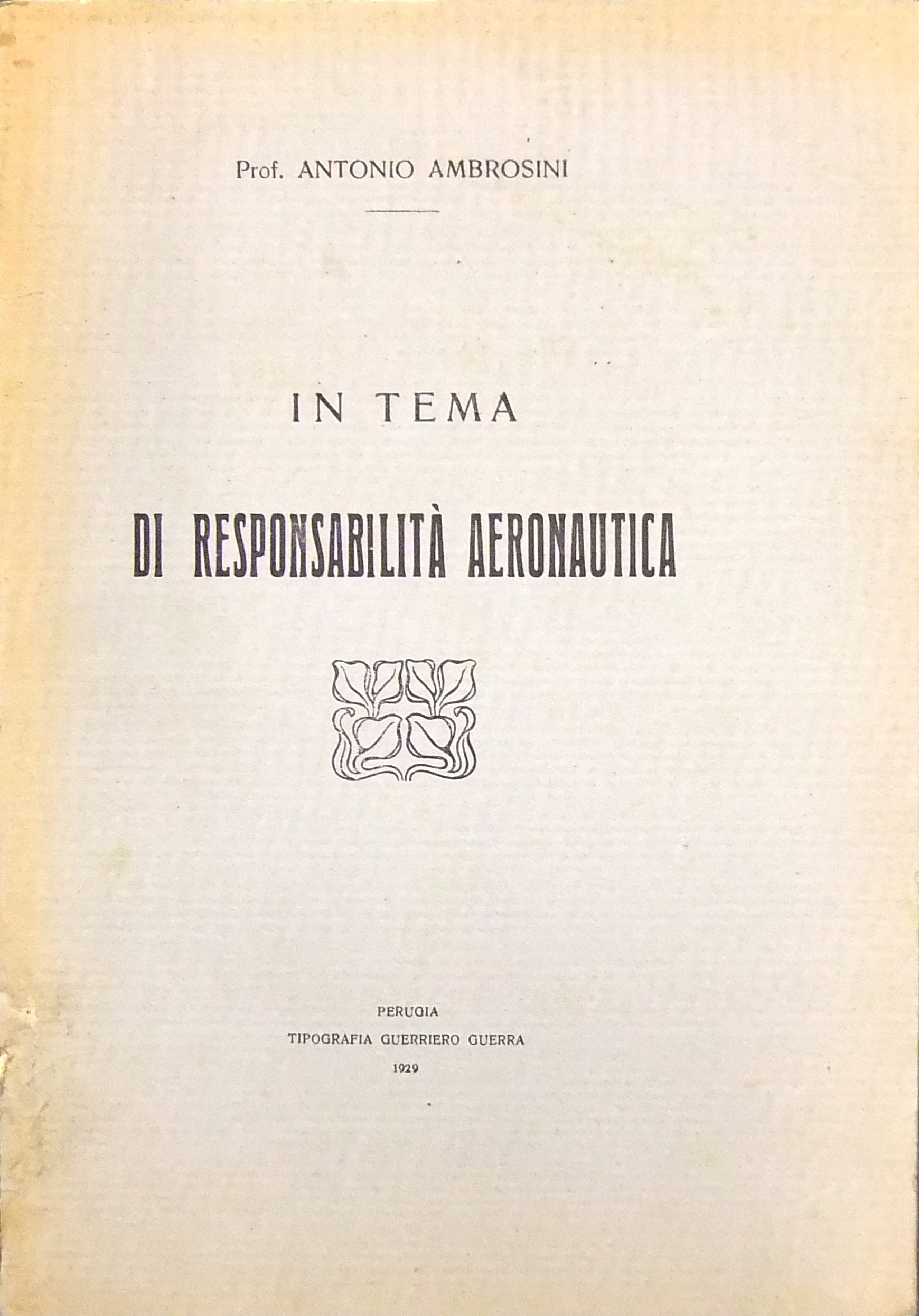In tema di responsabilità aeronautica.