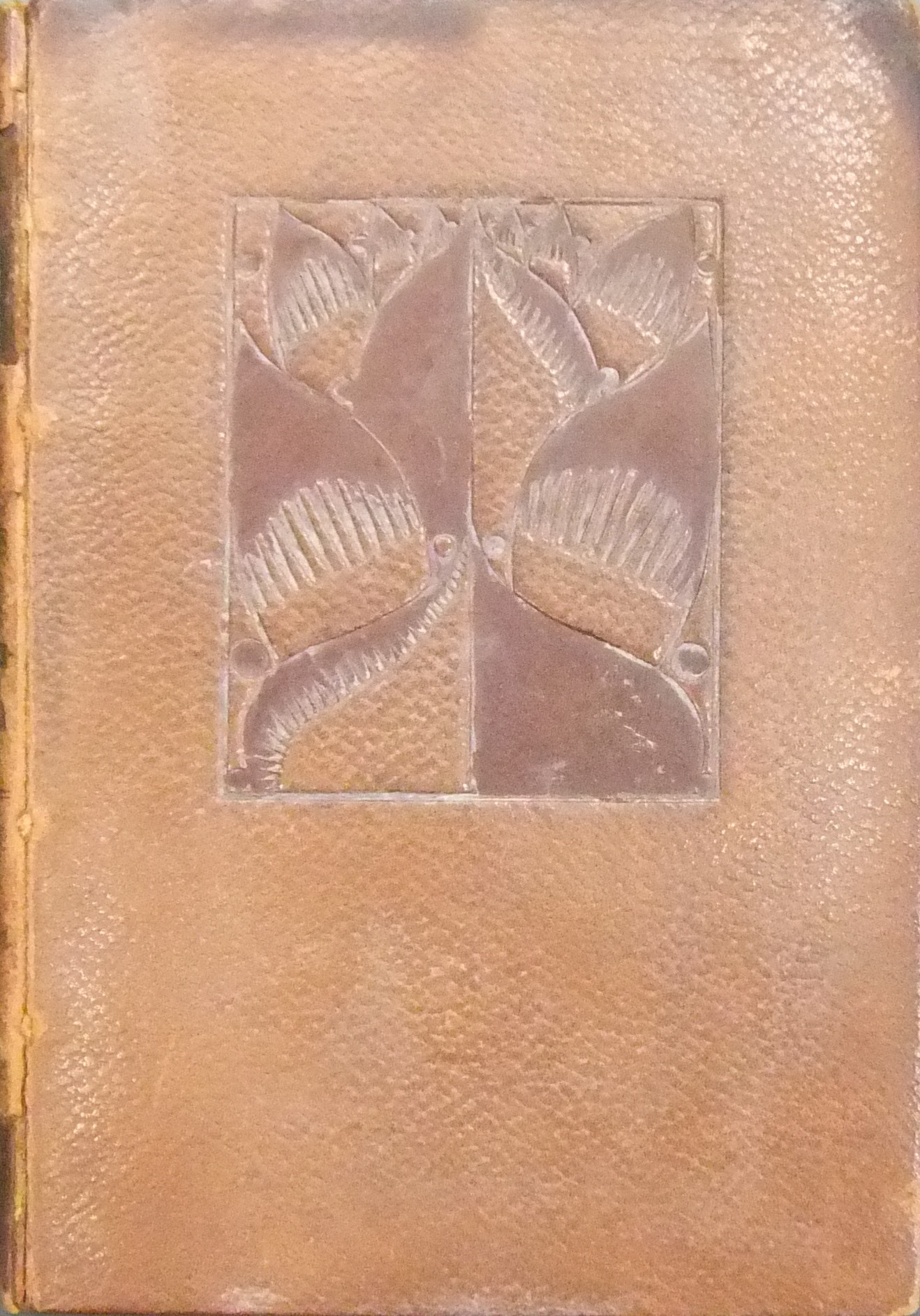 Voyages aux fetes de Kapurthala