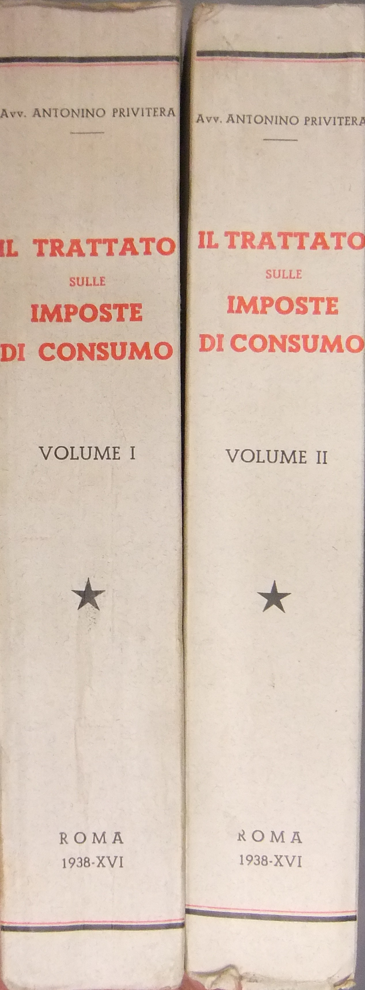 Il trattato sulle imposte di consumo. 