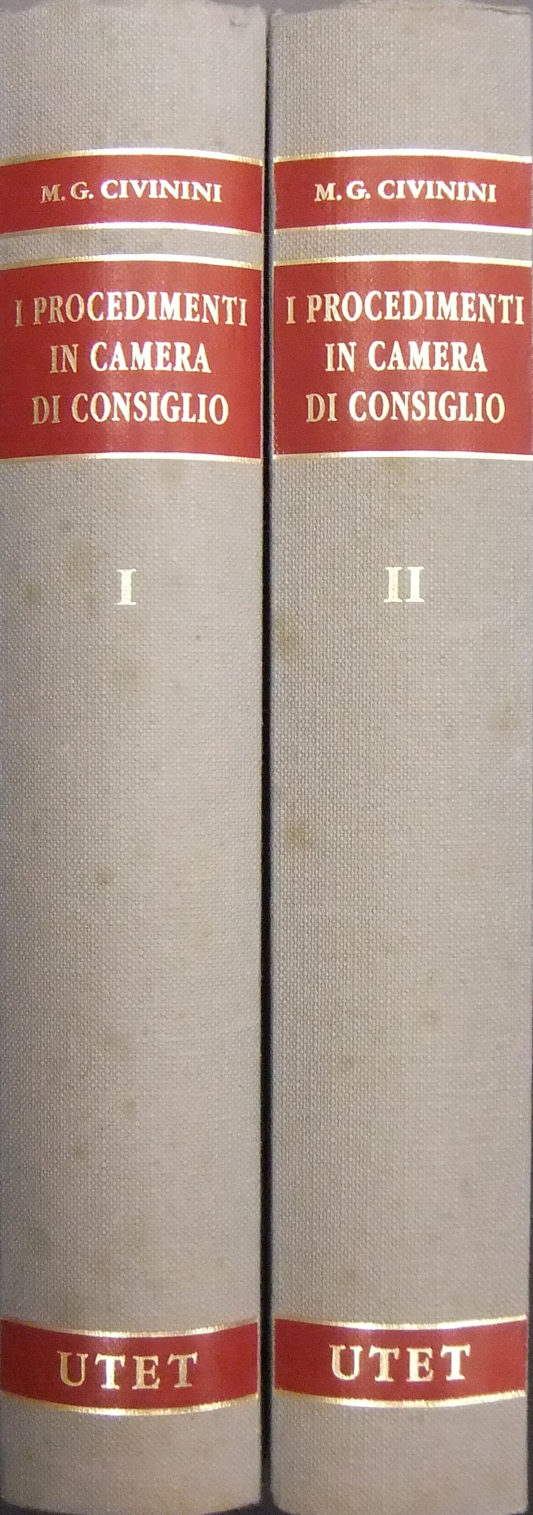 I procedimenti in camera di consiglio.