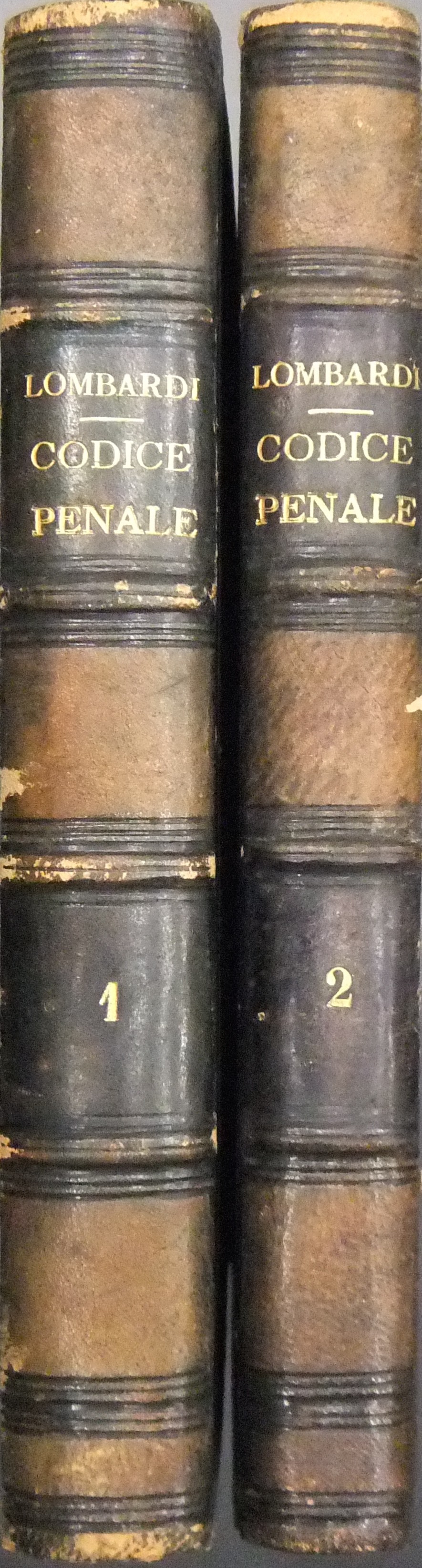 Il codice penale per il Regno d'Italia. 