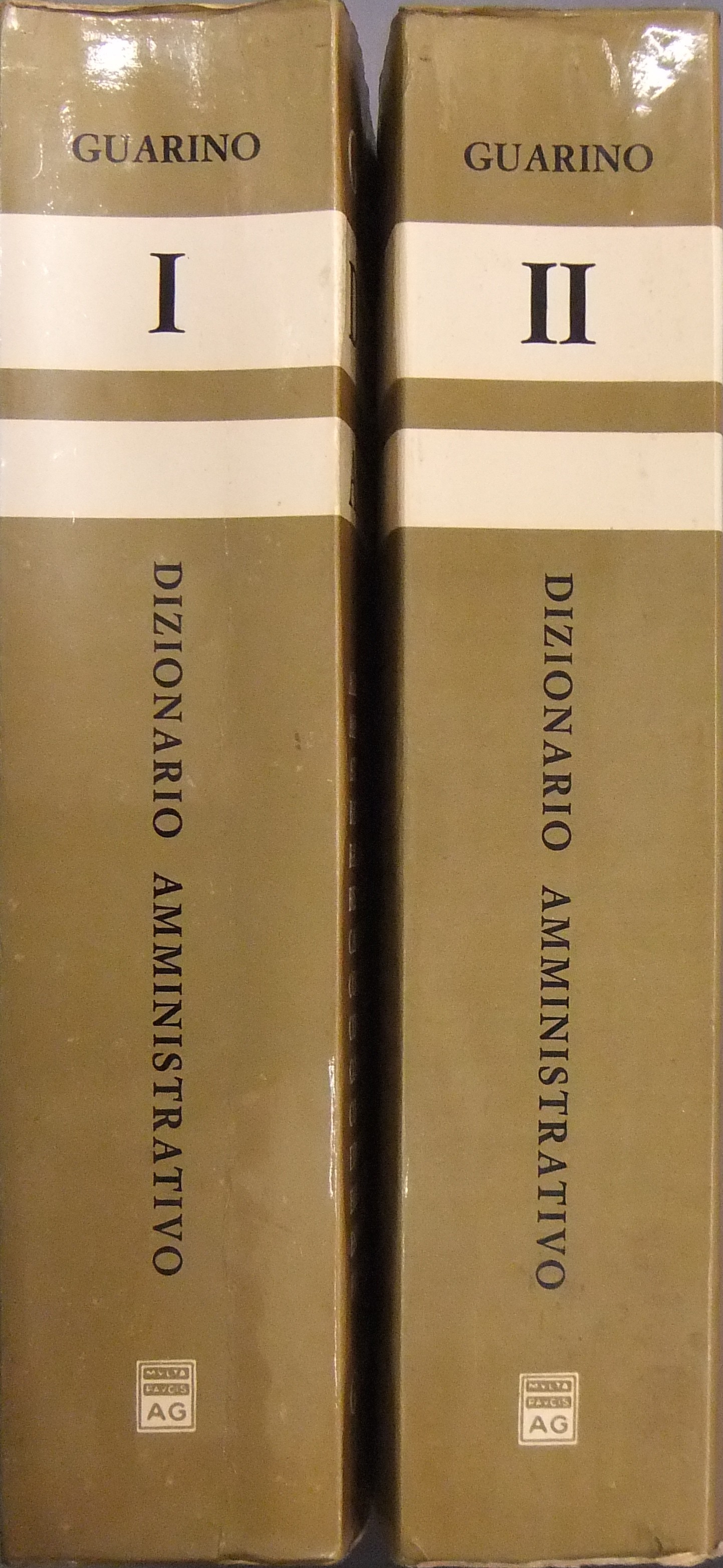 Dizionario amministrativo