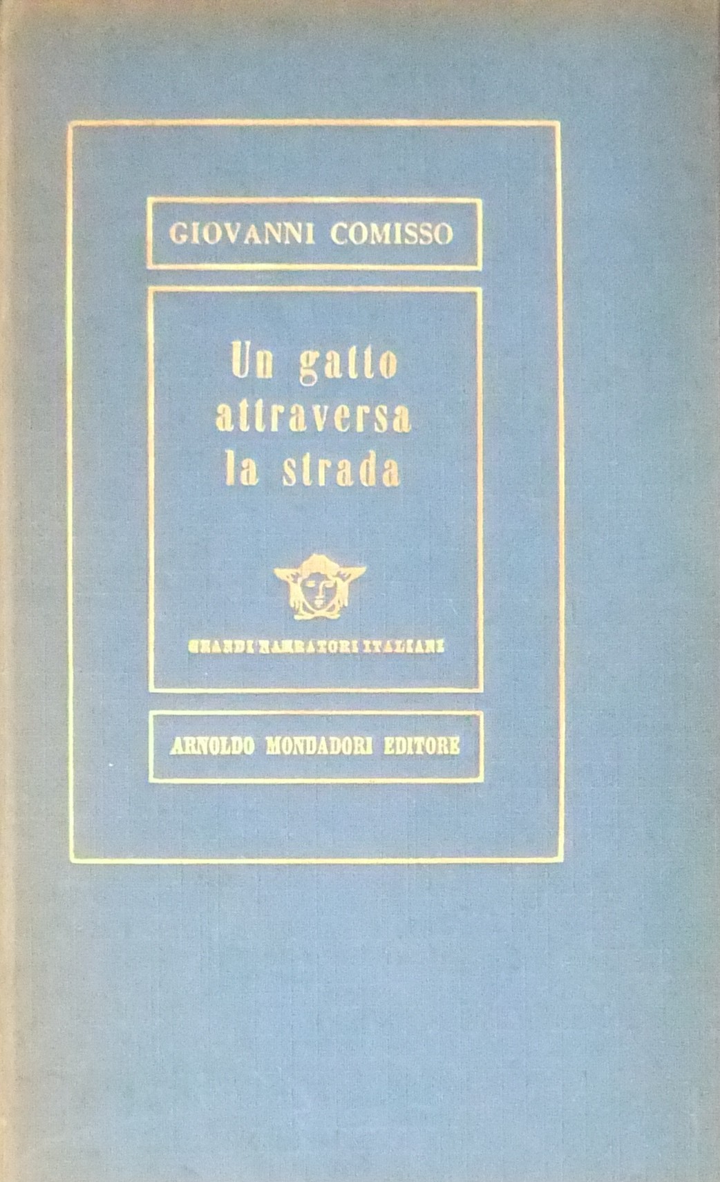 Un gatto attraversa la strada