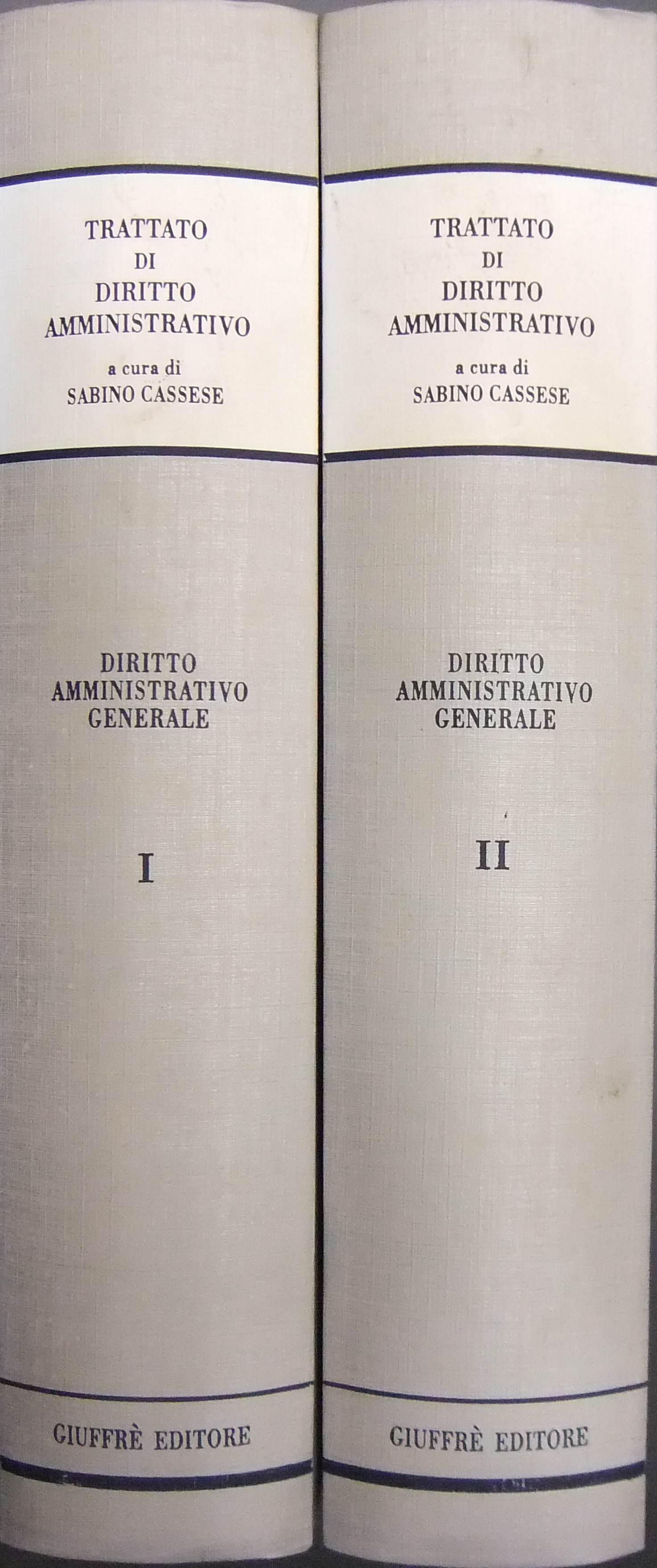 Trattato di diritto amministrativo. Diritto amministrativo generale