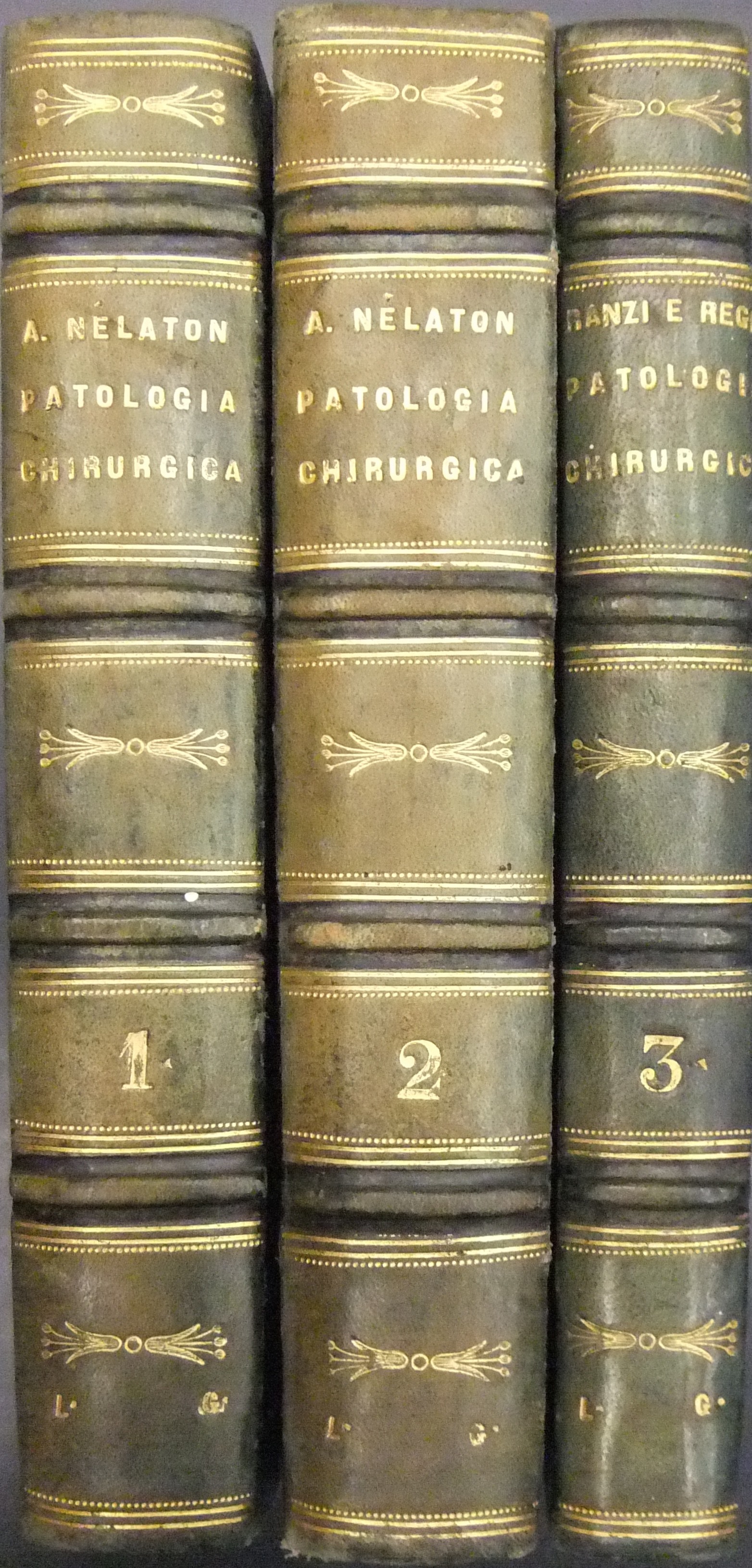 Elementi di patologia chirurgica 