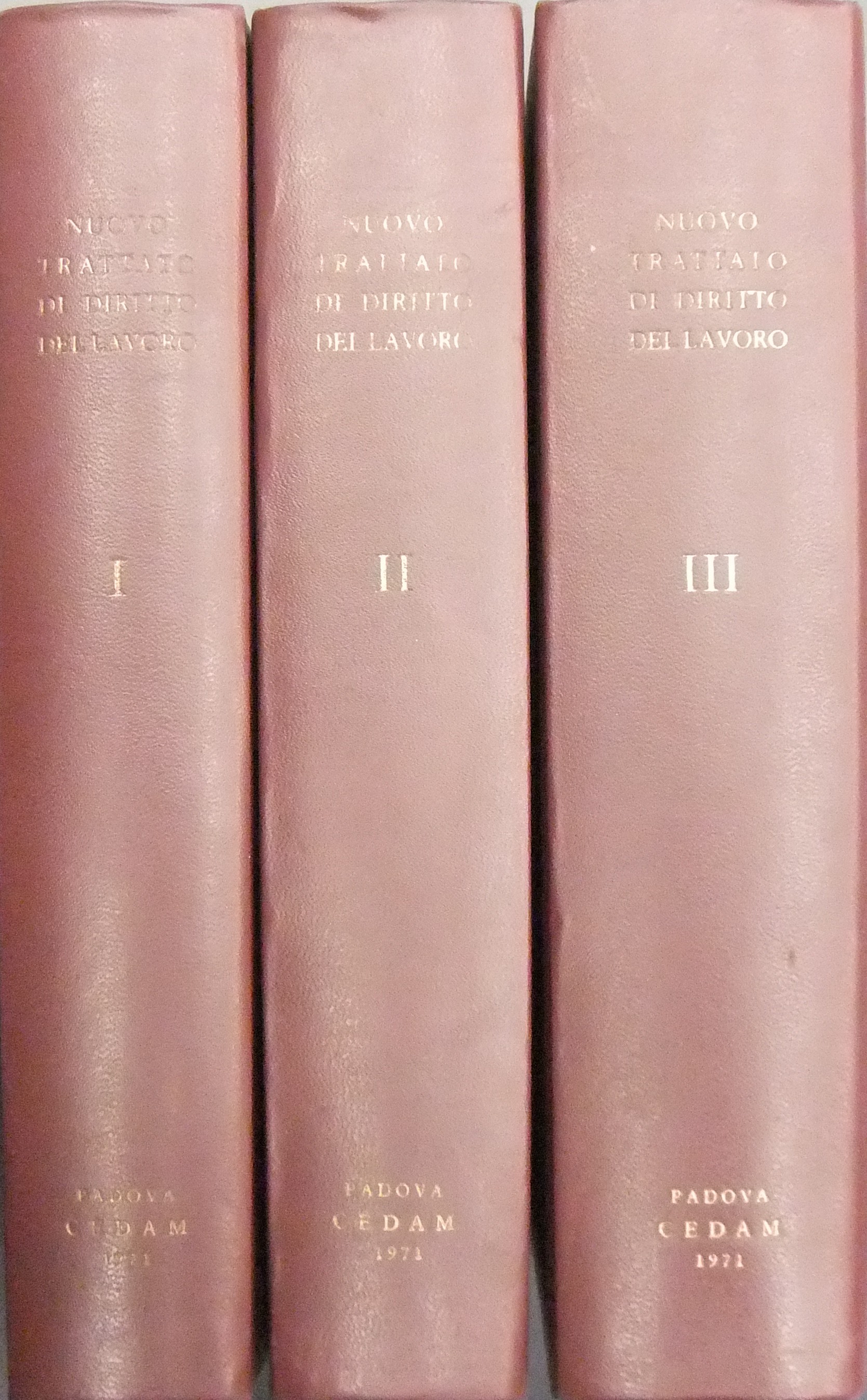 Nuovo trattato di diritto del lavoro.