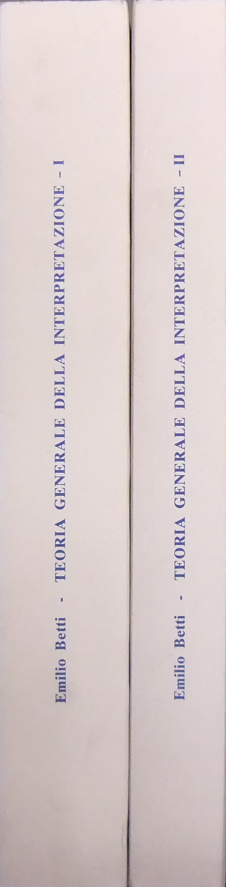 Teoria generale della interpretazione