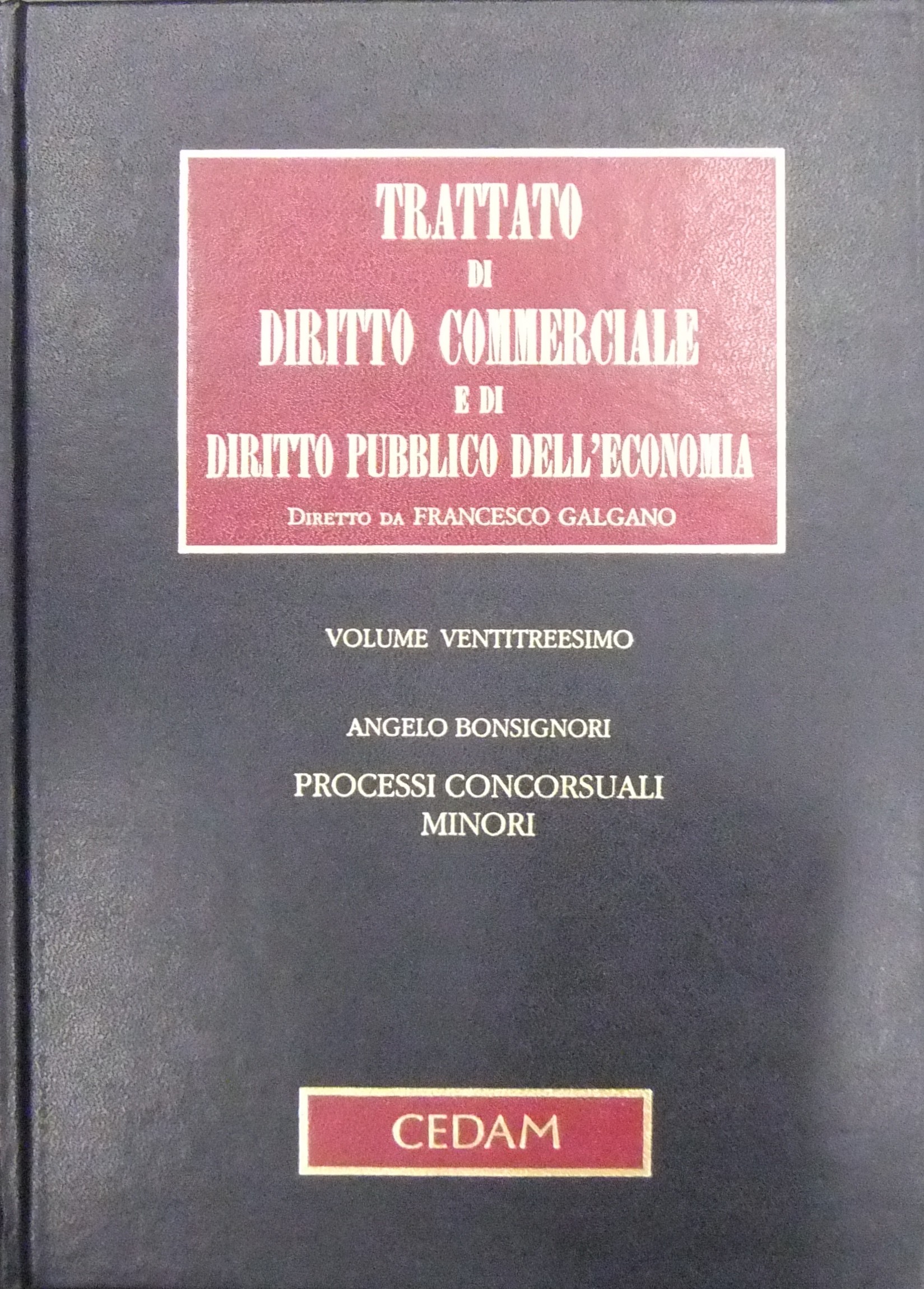 Processi concorsuali minori.