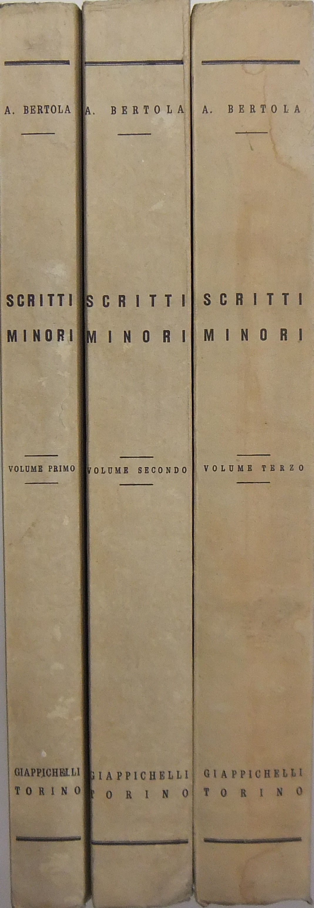 Scritti minori. Con premessa di Giuseppe Olivero